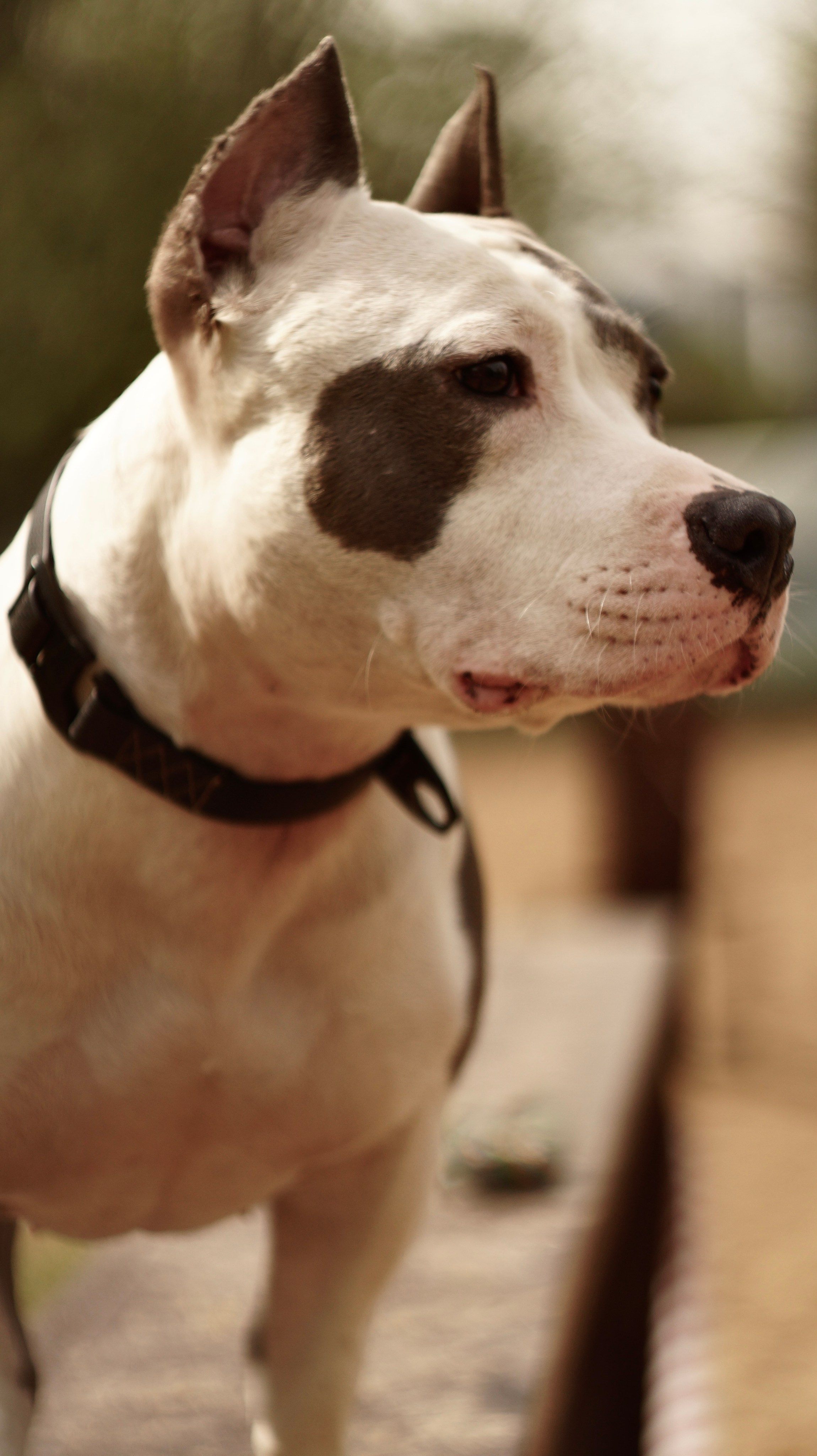 Луна. Профессиональный фотограф