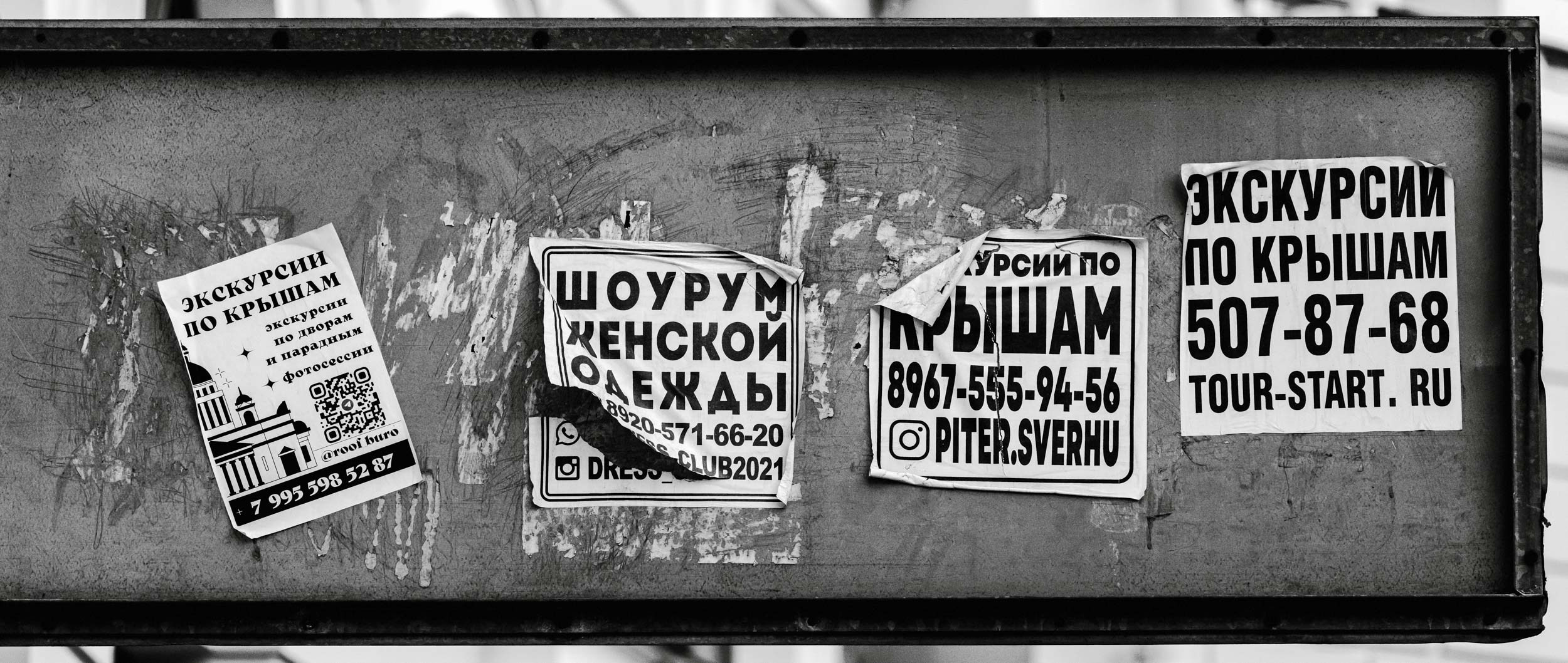 Saint Petersburg. The Andris