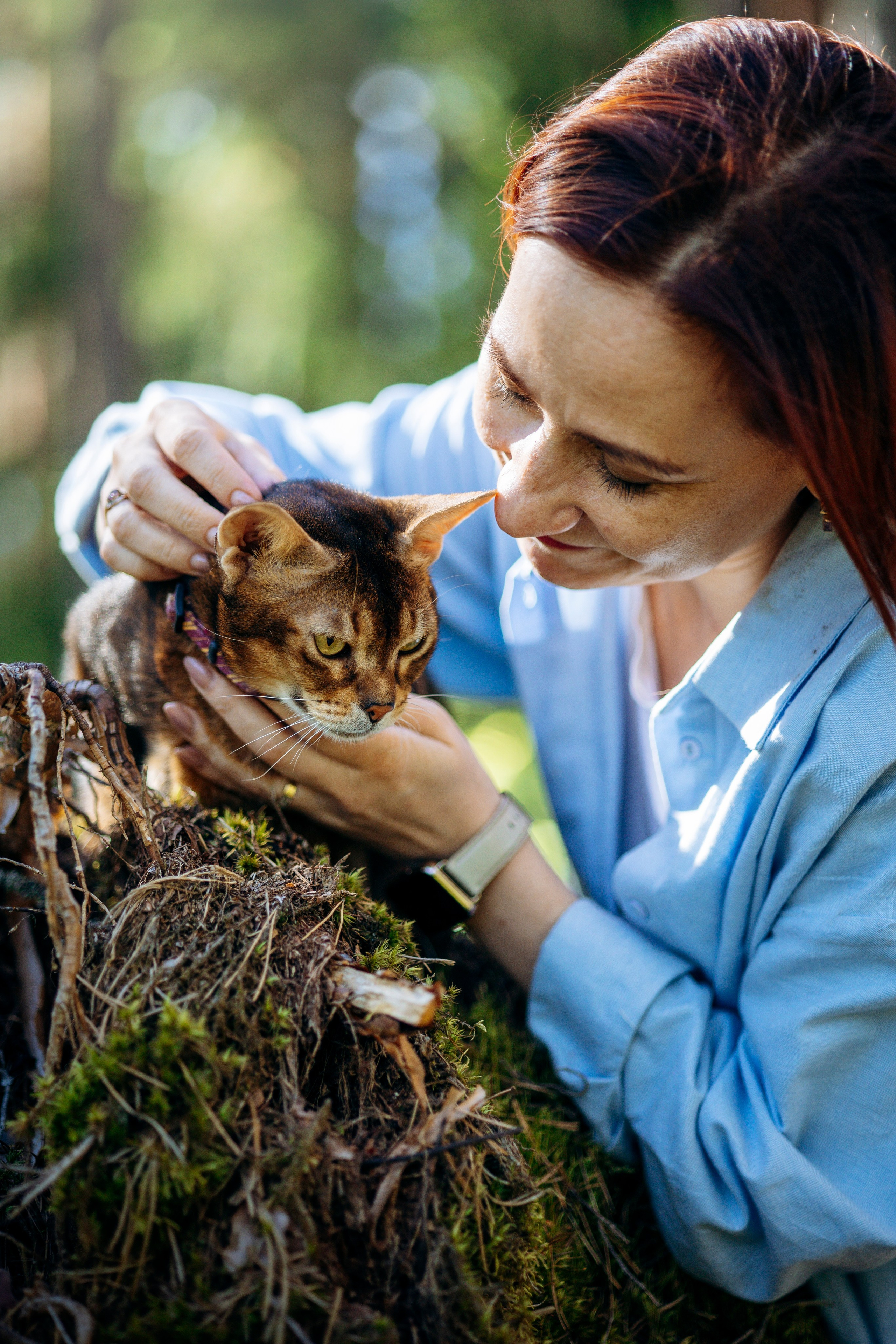 Котофеи и их семья. Фотограф — Анималист | Санкт-Петербург