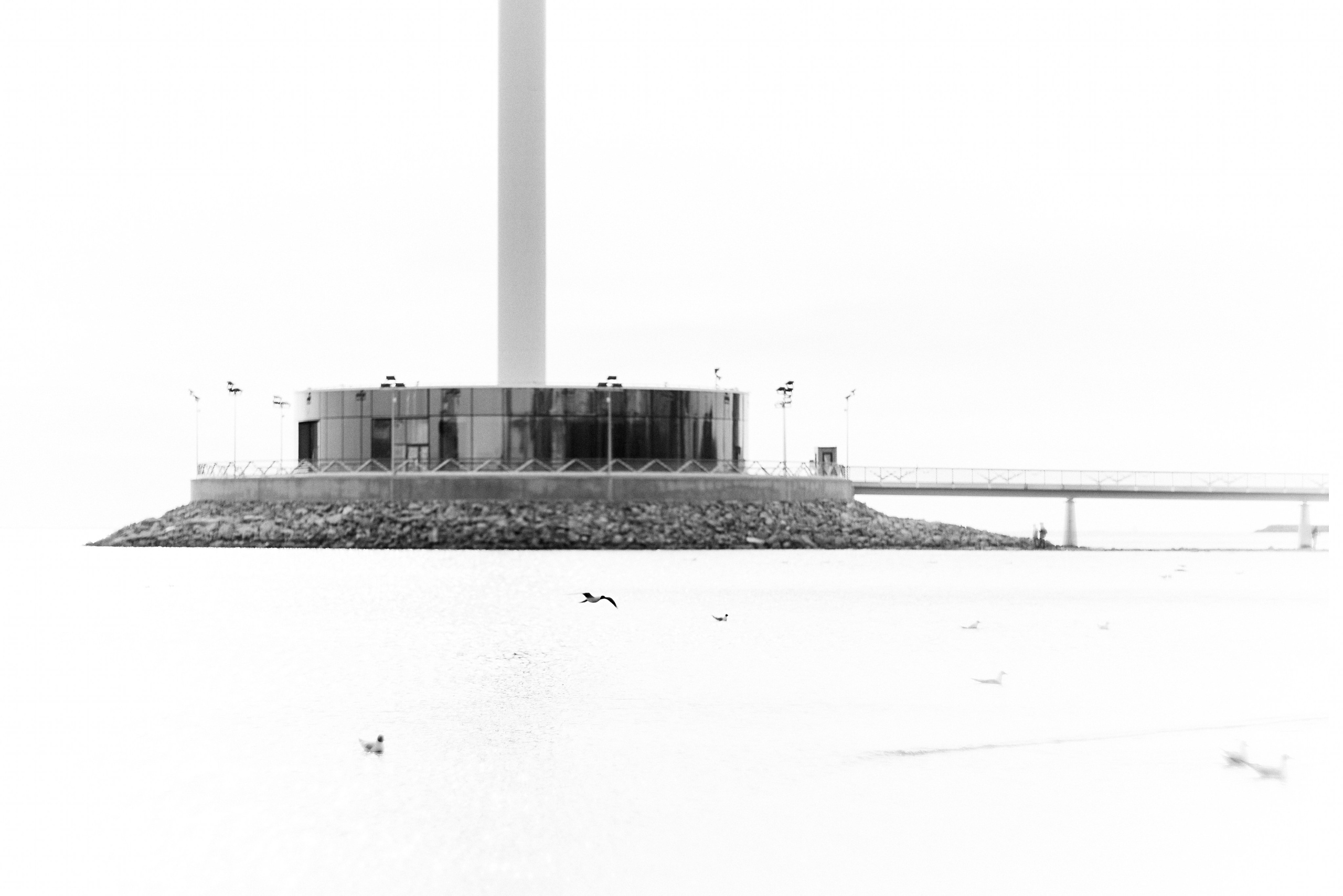 L19. Свадебный фотограф Санкт-Петербург DanyaPhotoart