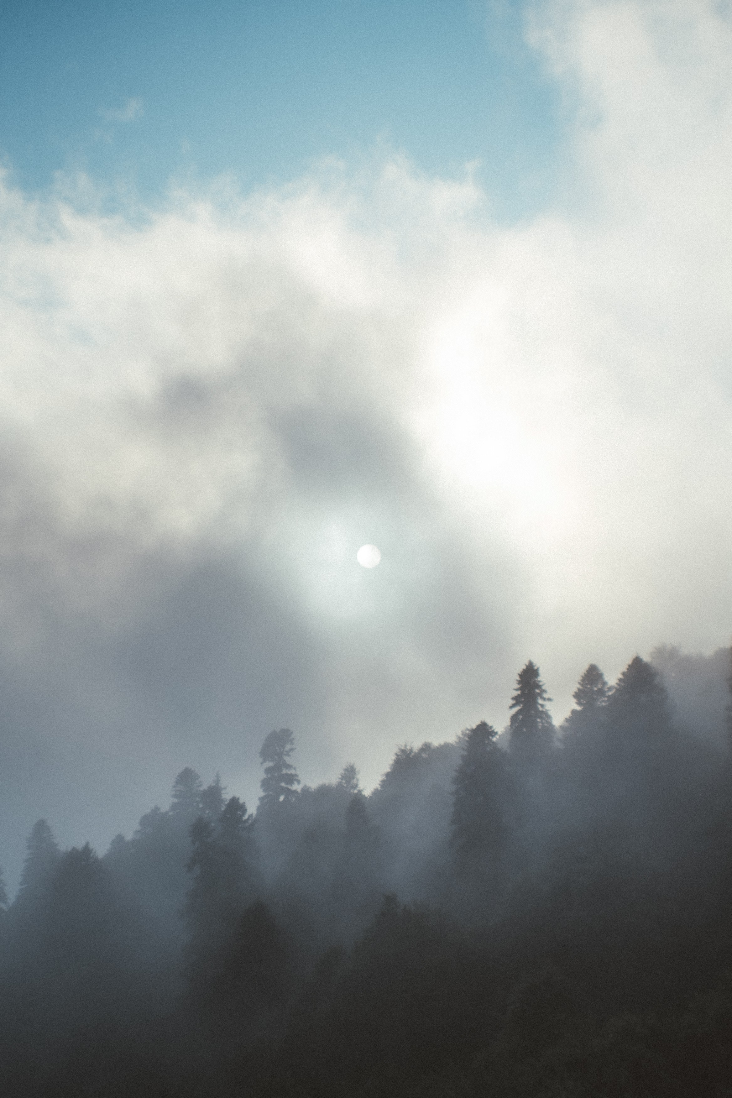 Нахазо ✽ Июль. Репортажный фотограф | Роза Хутор Красная Поляна Сочи Сириус