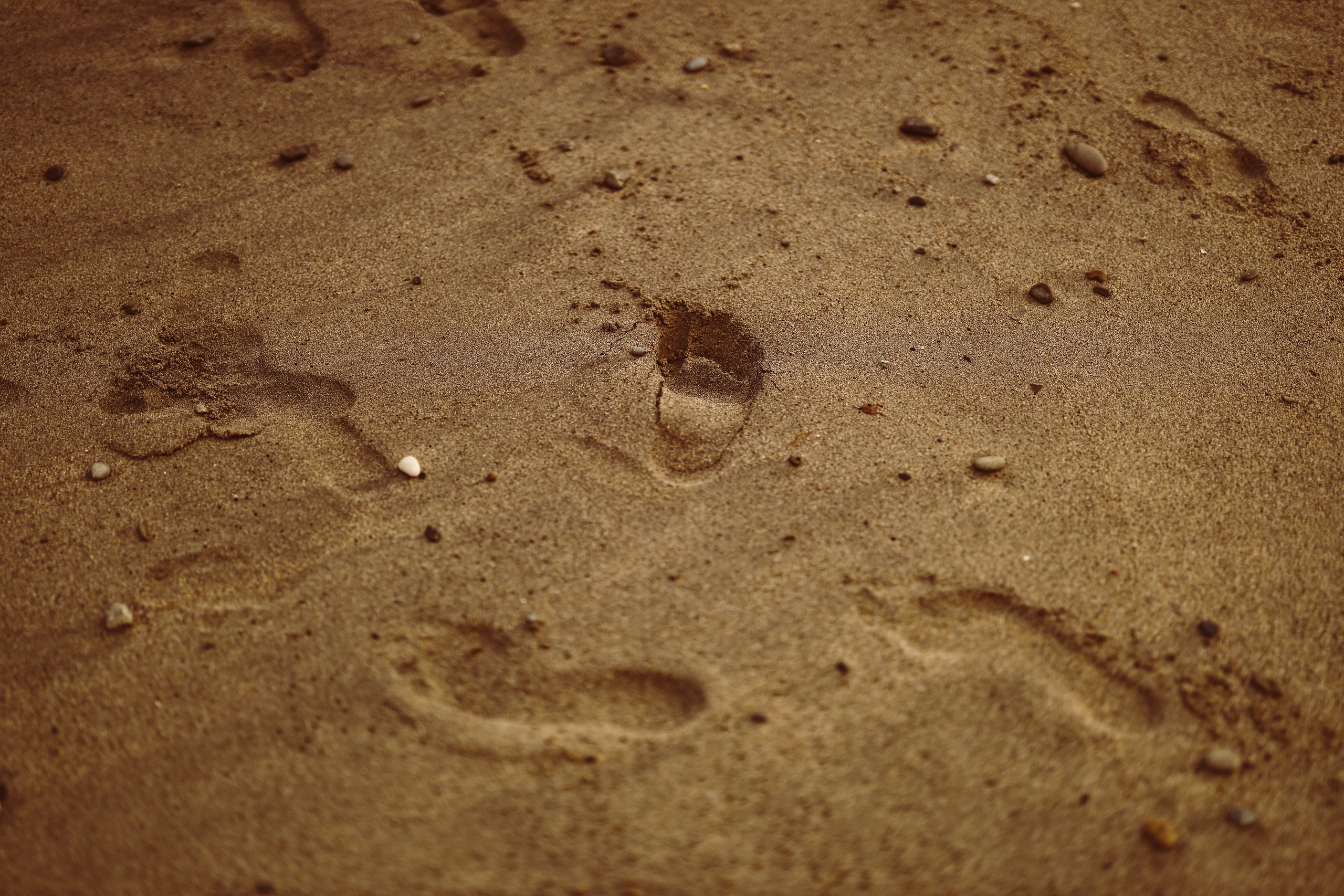 Love story на пляже Сухума. Свадебный и семейный фотограф в Абхазии Жанна Соснина