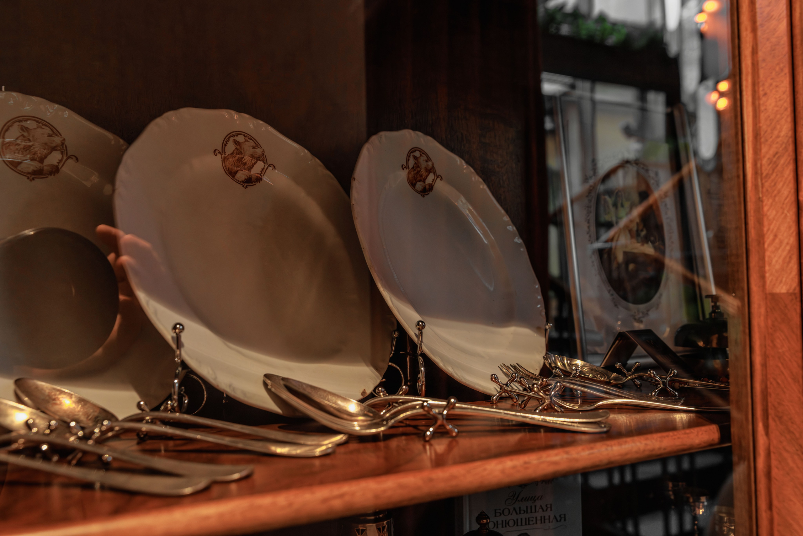 Медведь. Репортажный фотограф в Санкт-Петербурге Жолудев Владислав