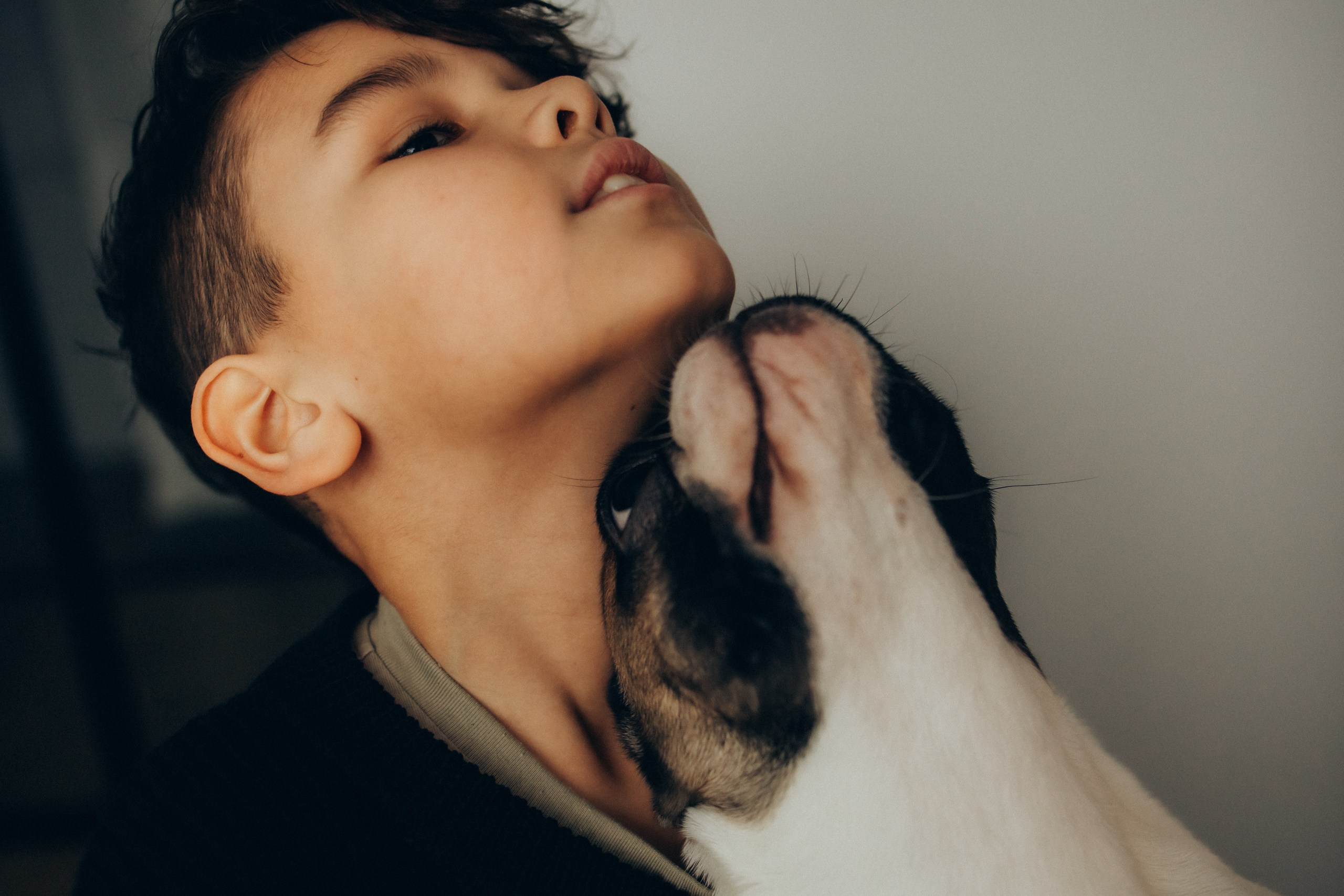 Руслан, Тимур и Луна. Семейный фотограф Москва