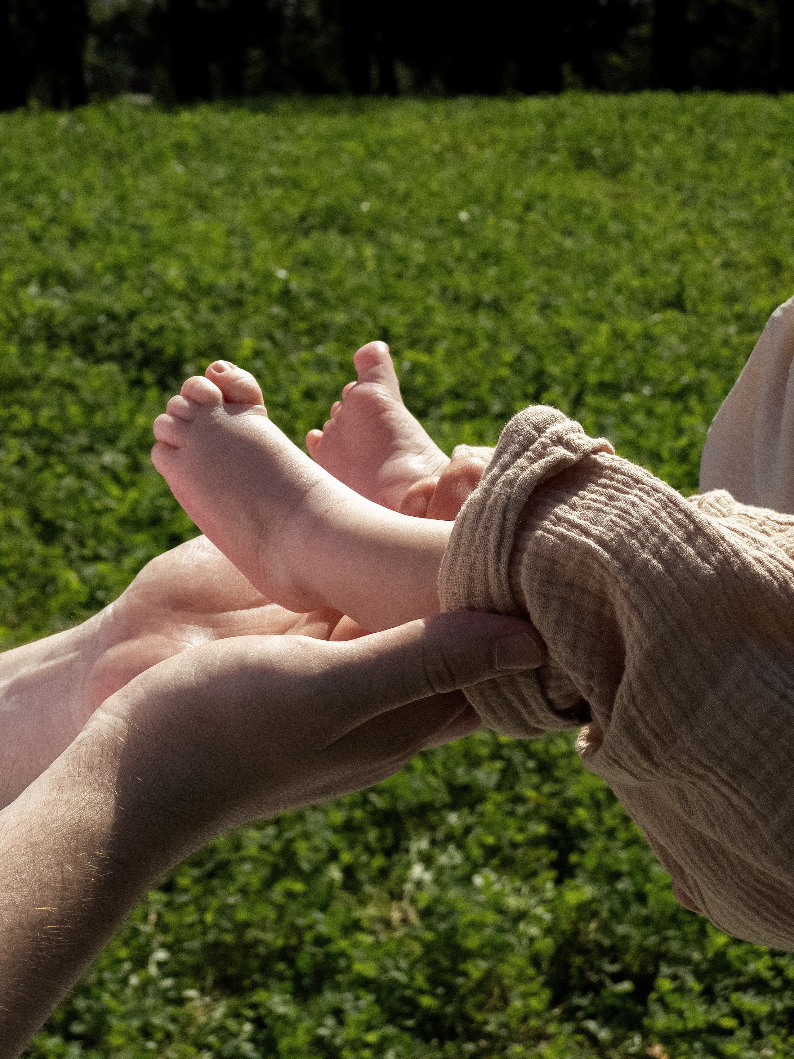 Семейная. Фотограф Барнаул Софья Бояринова