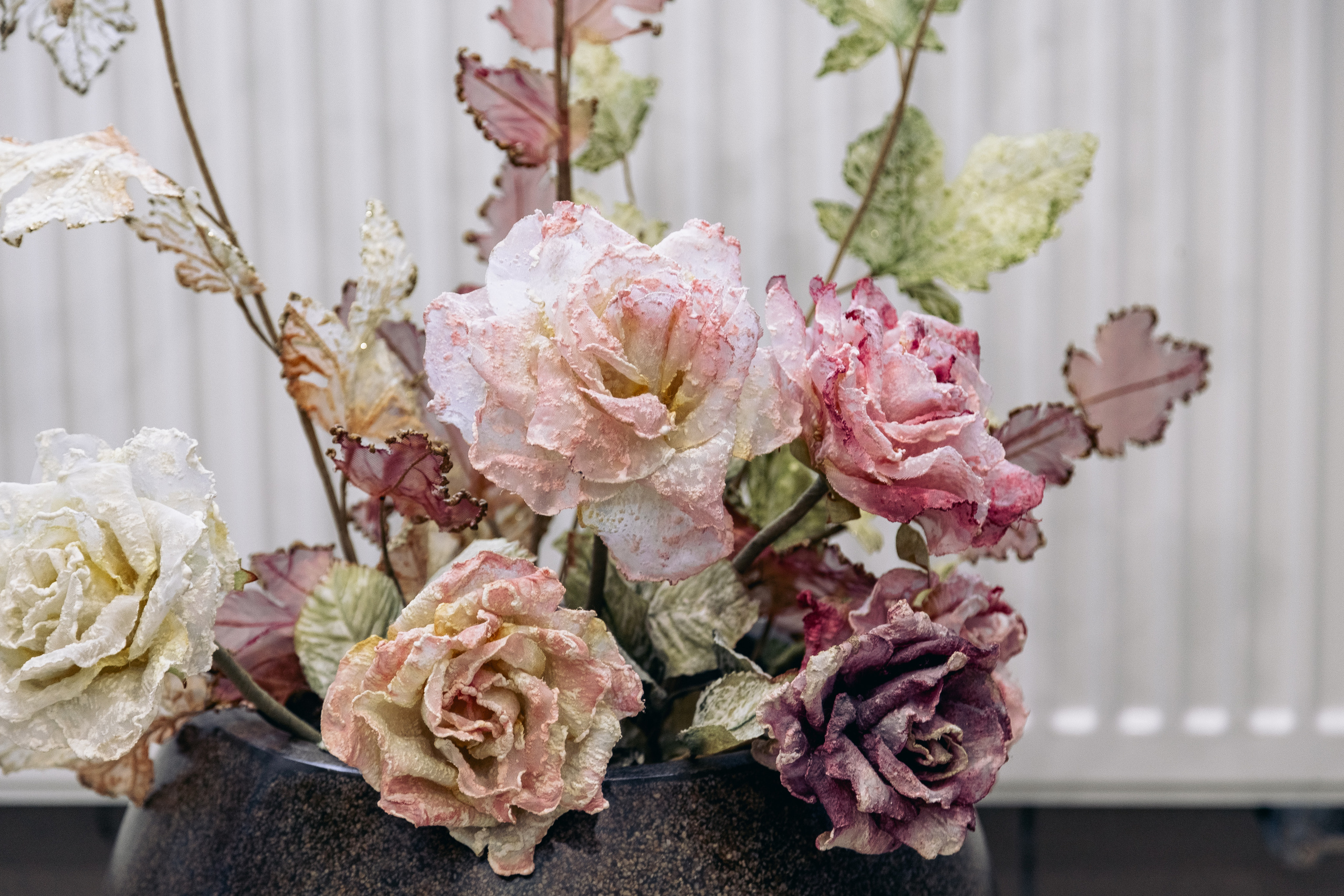 живые цветы в фотостудии