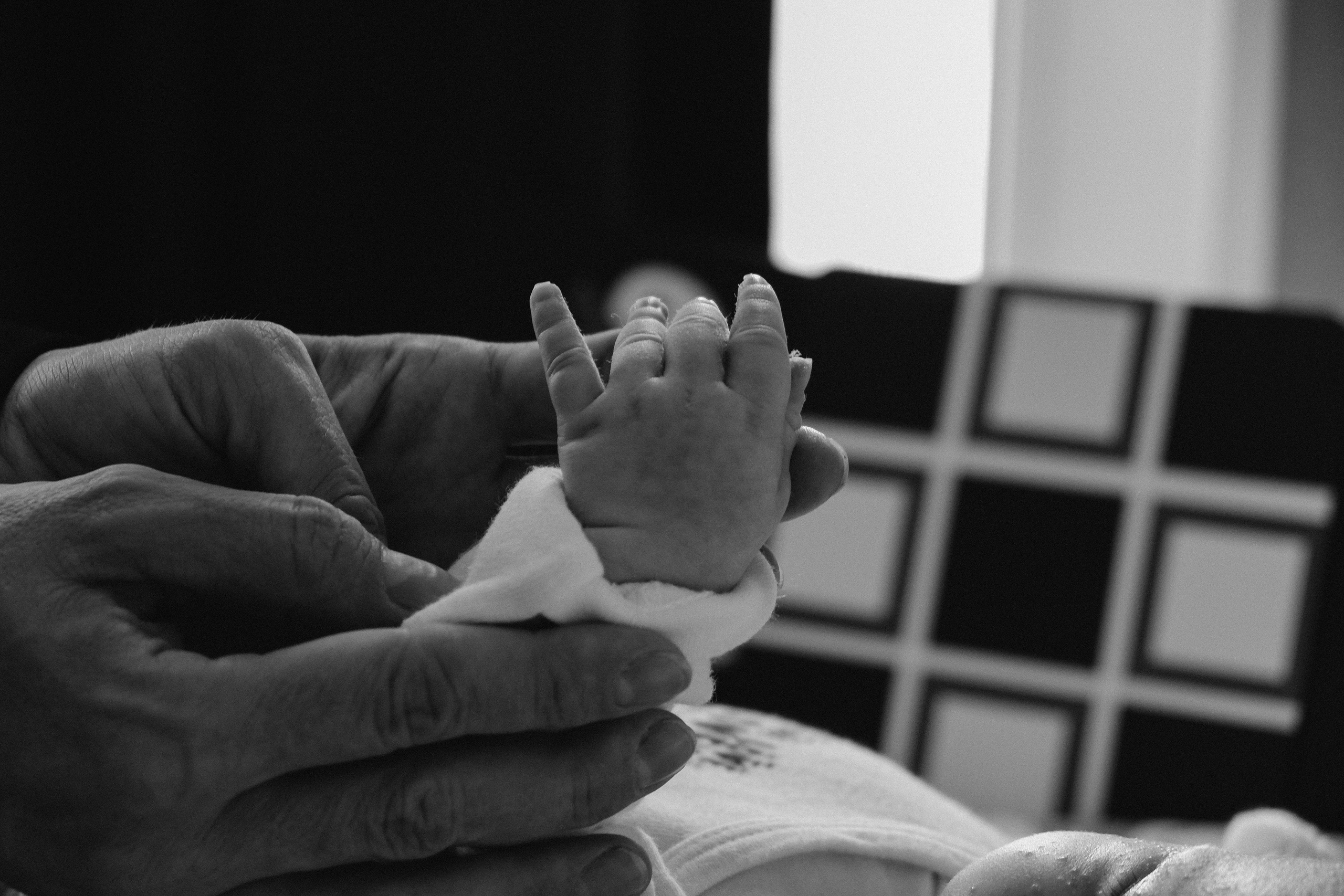 Семейная история