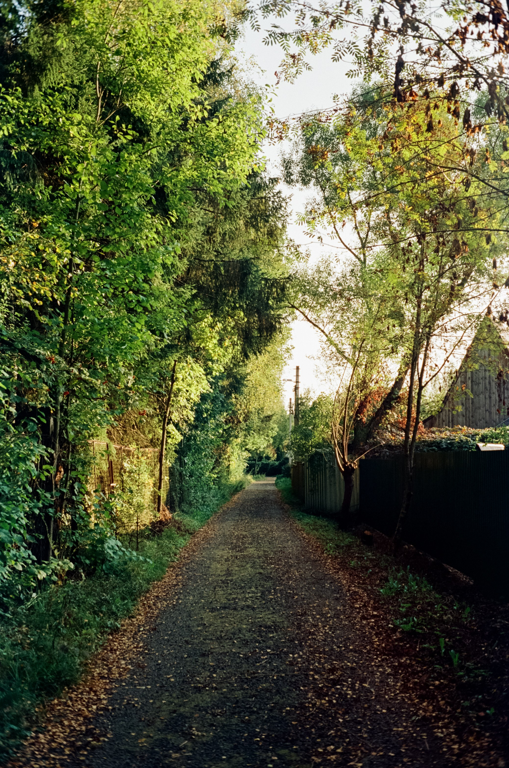 Minolta Hi-Matic 7SII примеры фотографий