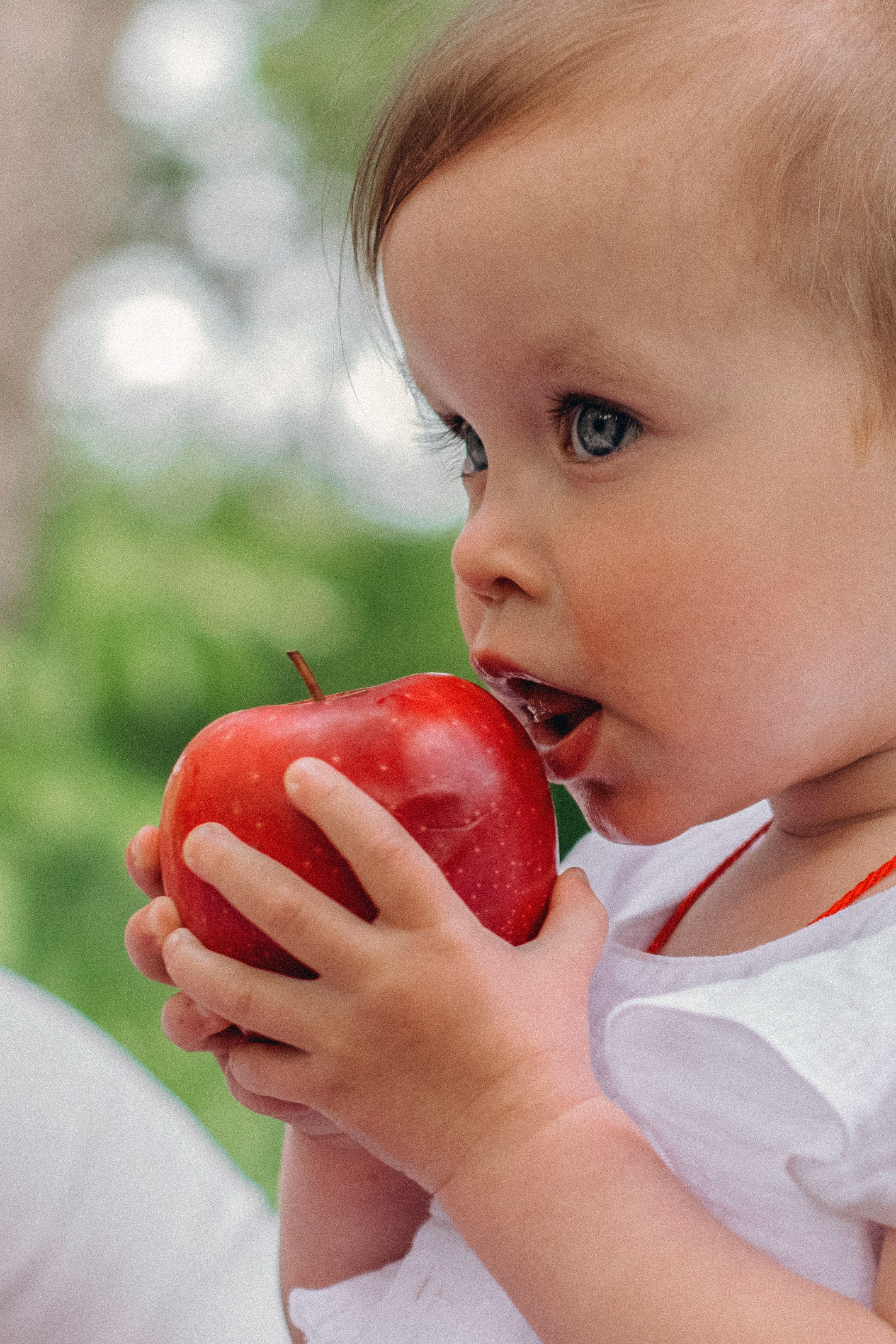 Пикник на пруду. Главная