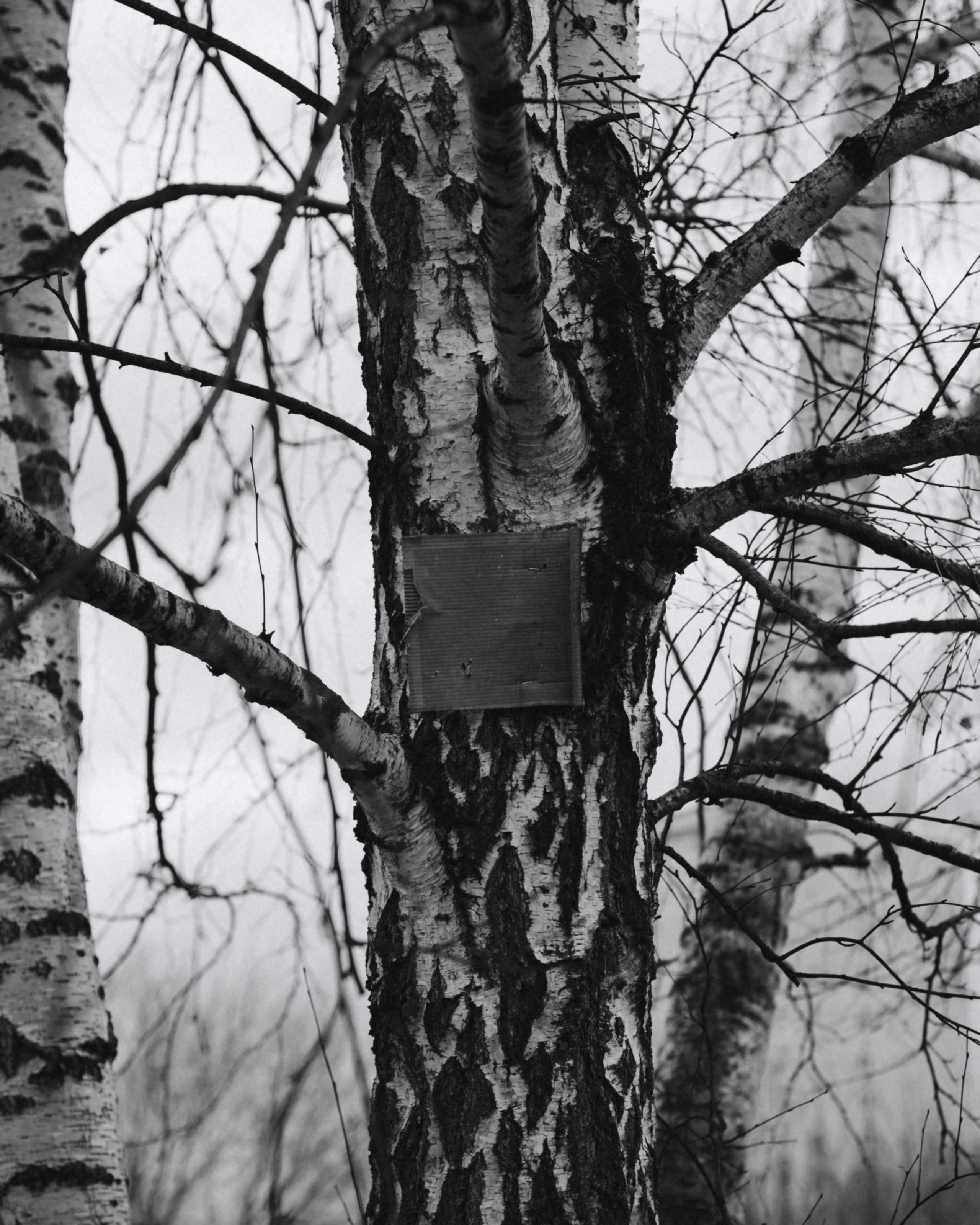 Все умрут, а я останусь. Больше не греет