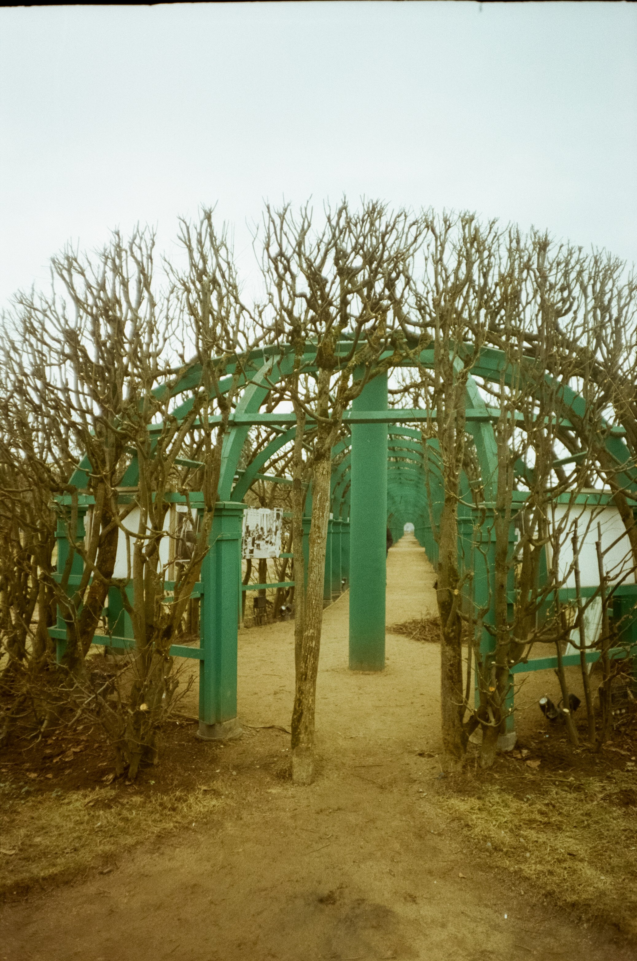 Архангельское. Пасмурный апрель. Фотограф-документалист Мария Осокина