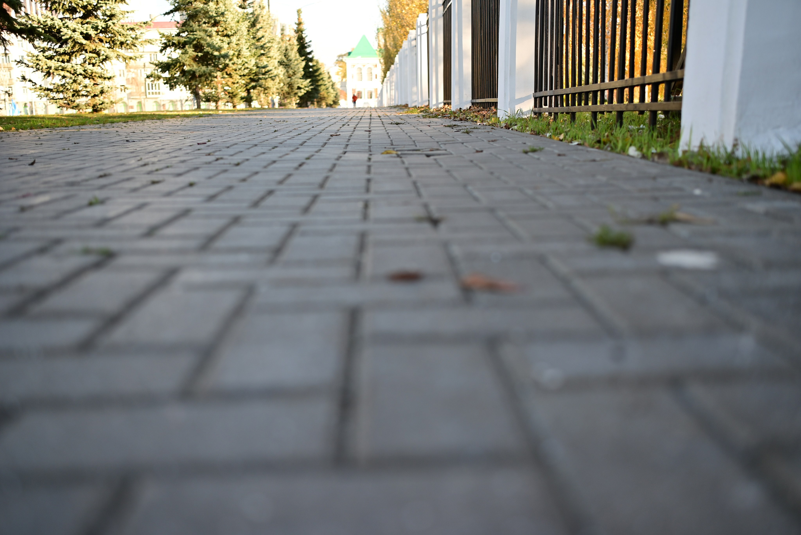 Осень в Самаре 2025. Фотосъёмка праздничных мероприятий, портретная съёмка в Самаре, Пётр Бубняев