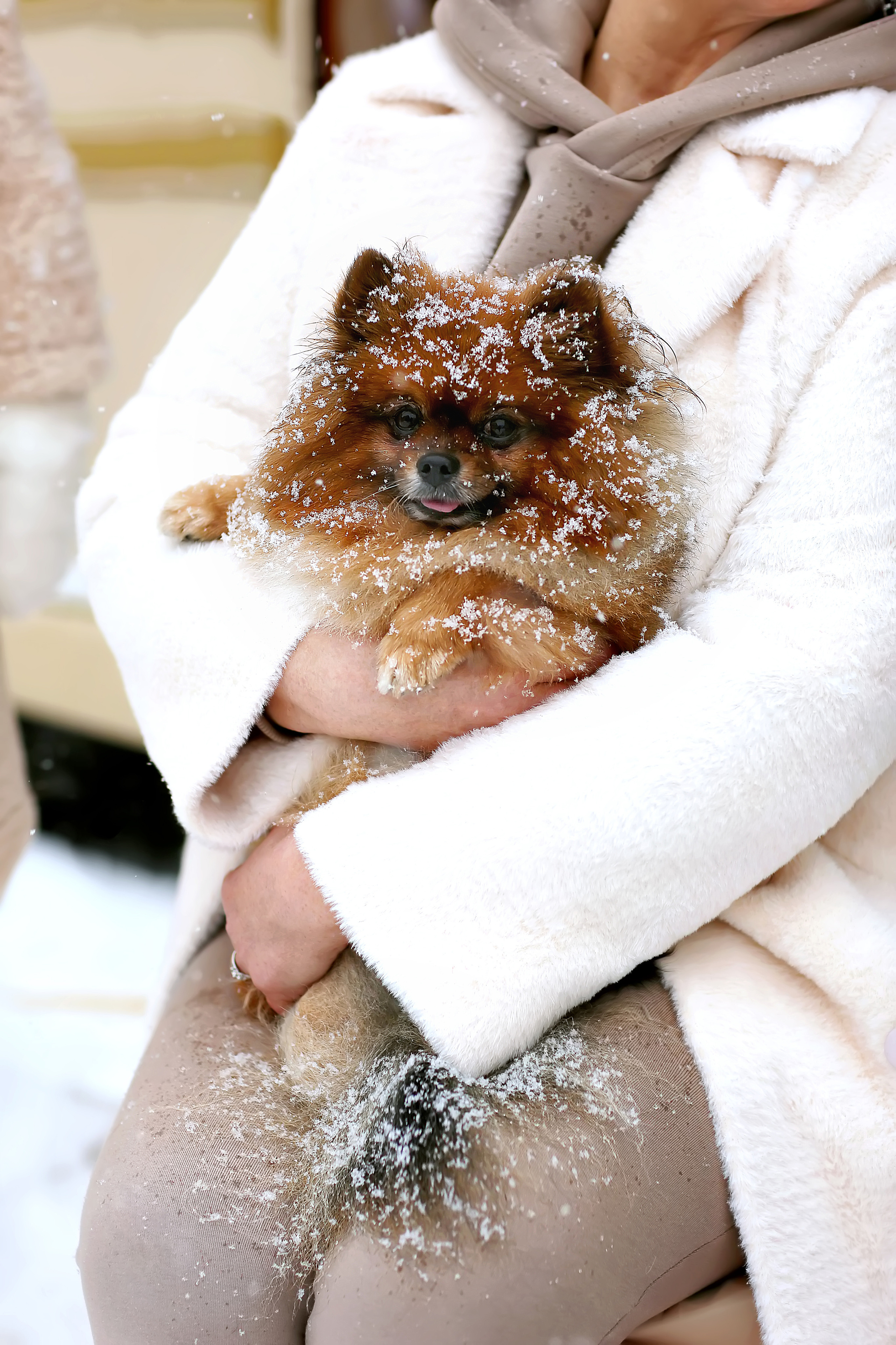Семейные съемки. Фотограф Казань и по миру Гимадиева Ирина