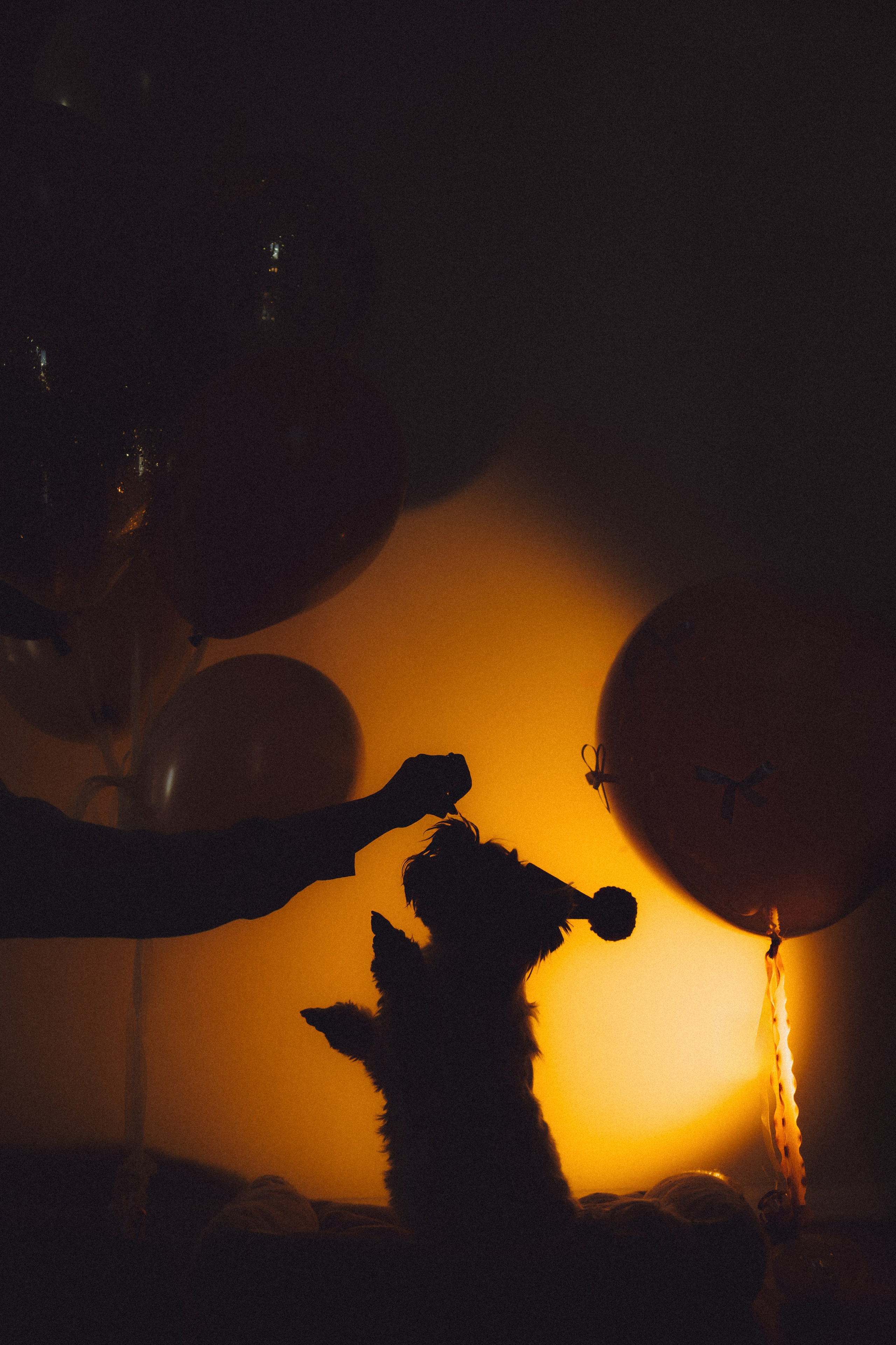 День Рождения Шу