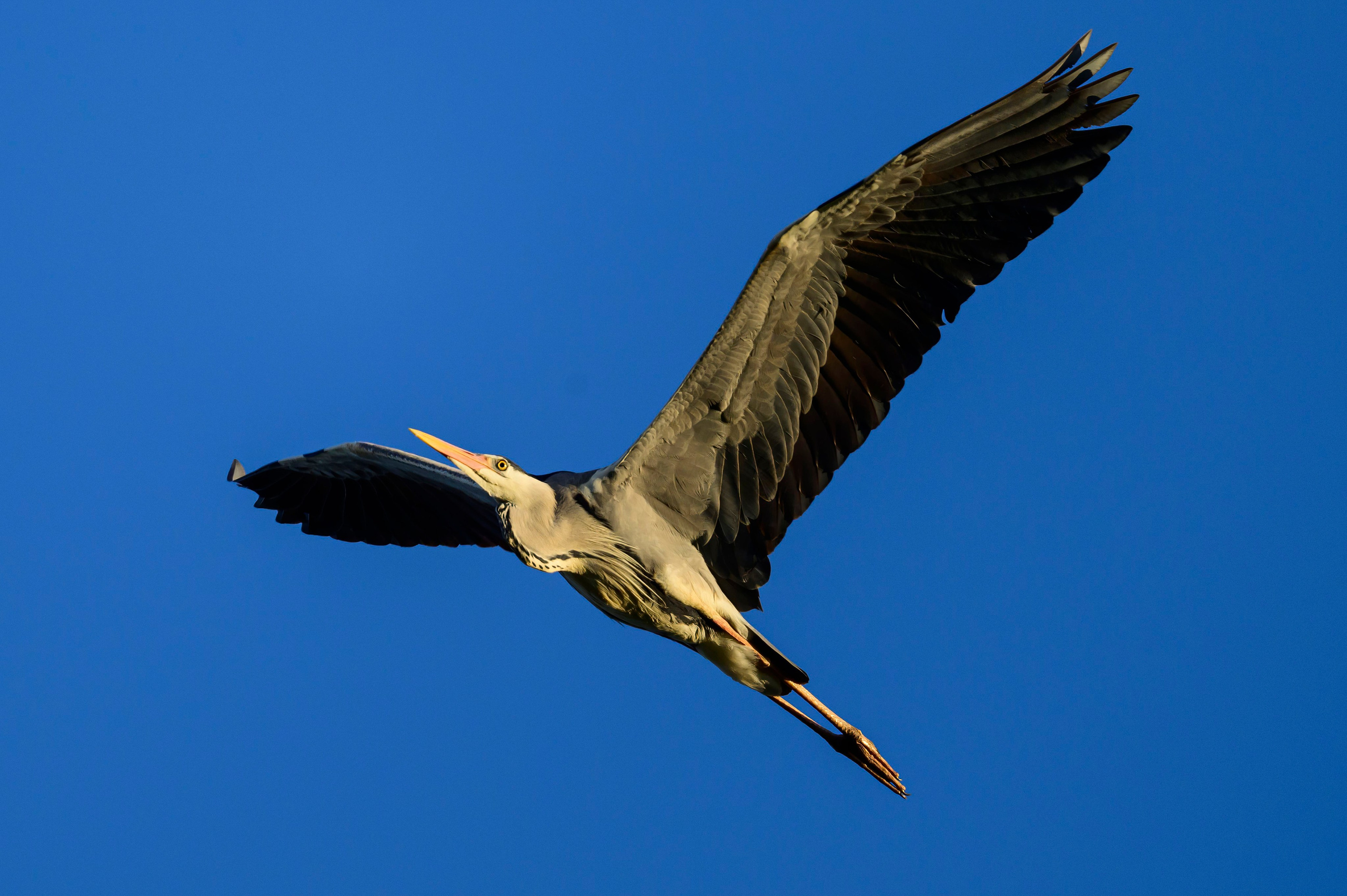 Дмитров. Фотограф Сергей Пупонин