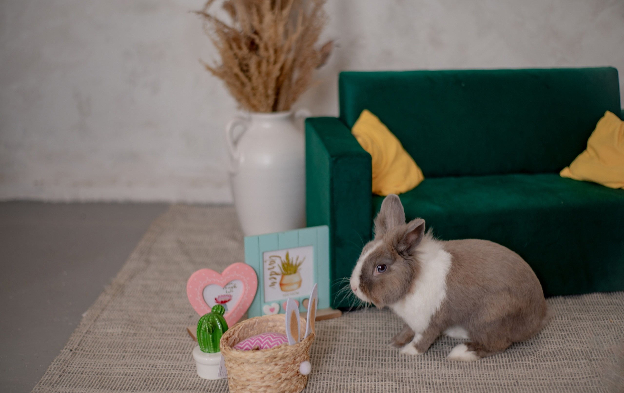 Для детей фотодень. Семейный и свадебный фотограф в г. Уфа Динара