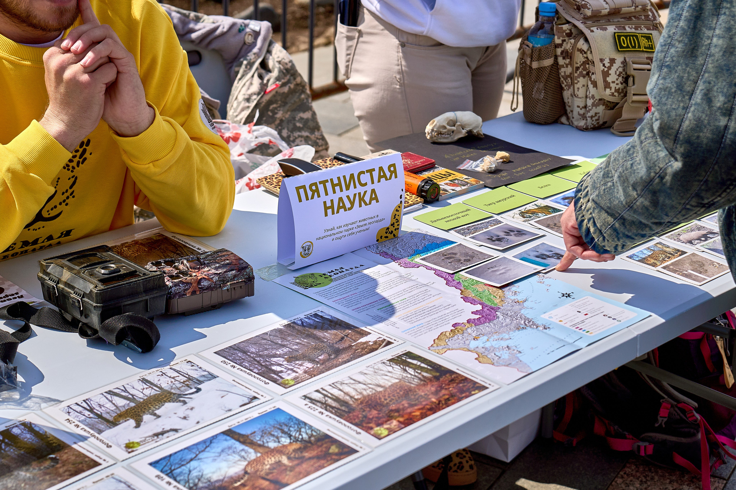 «День леопарда»!. Фотограф во Владивостоке