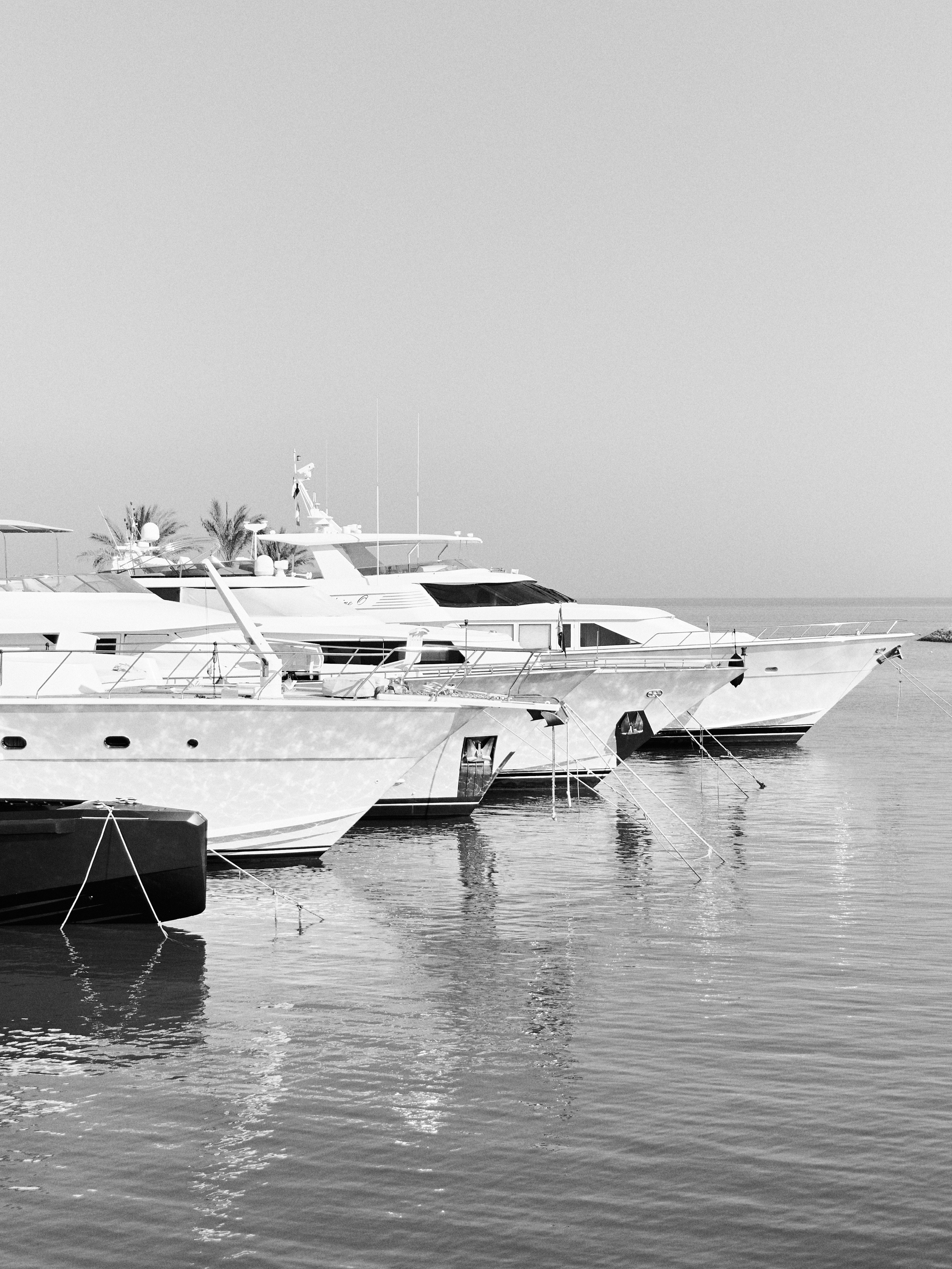 Другое 3. Jorgis — фотограф в Хургаде / обучение фотографии