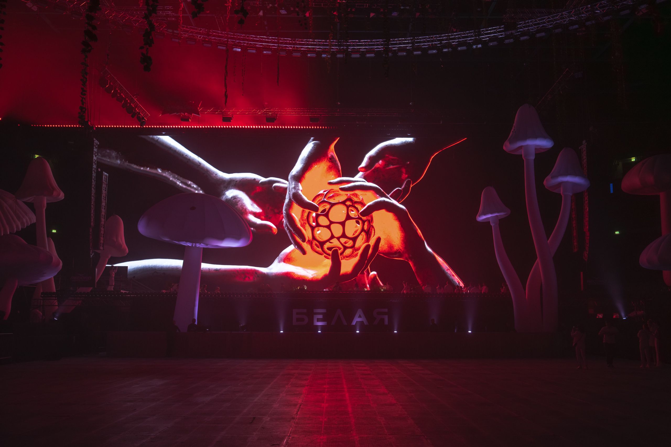 БЕЛАЯ 2025. Святослав Буньков | фотограф