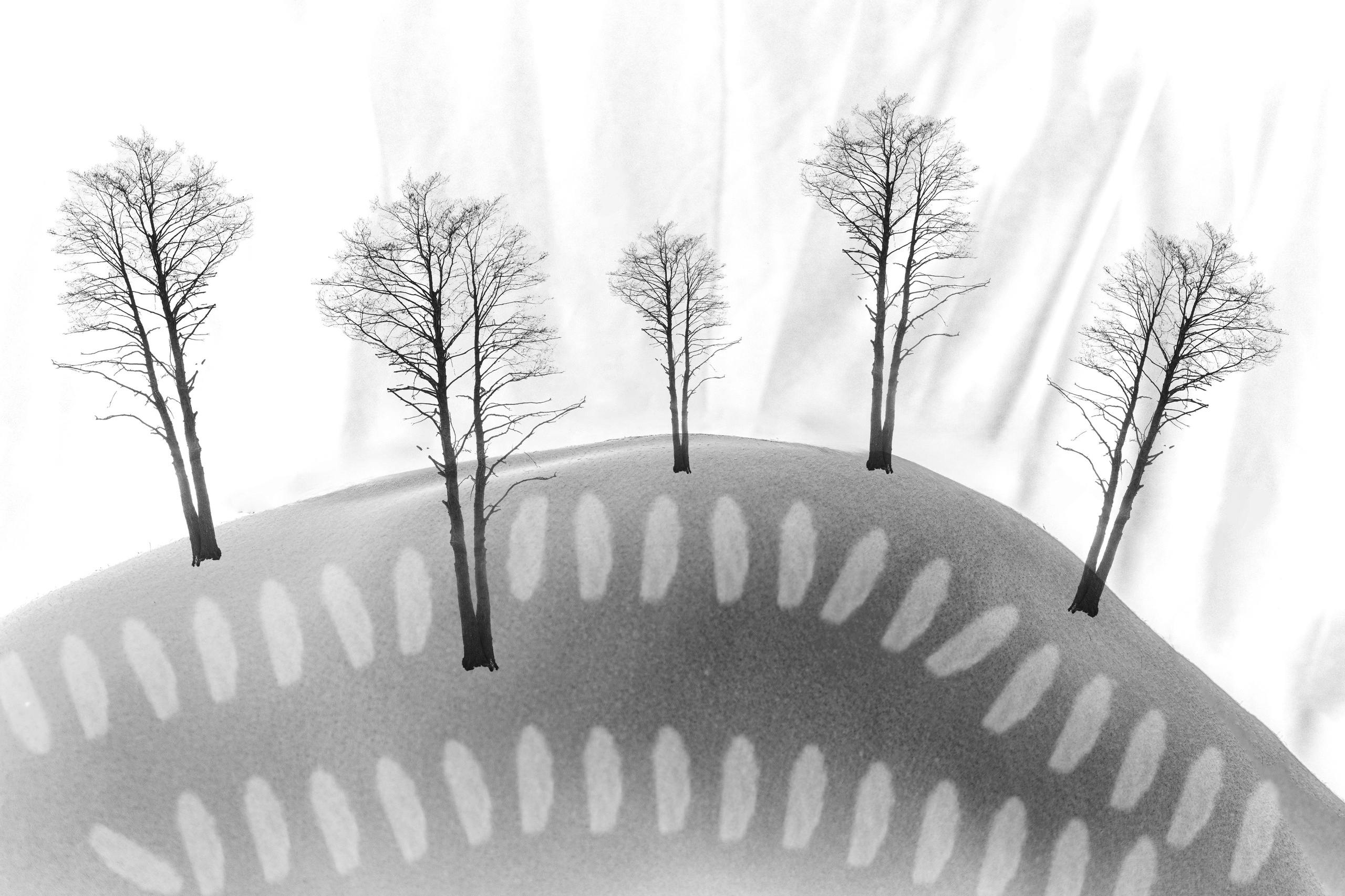 Арт фотограф и визуальный художник Марина Черепович