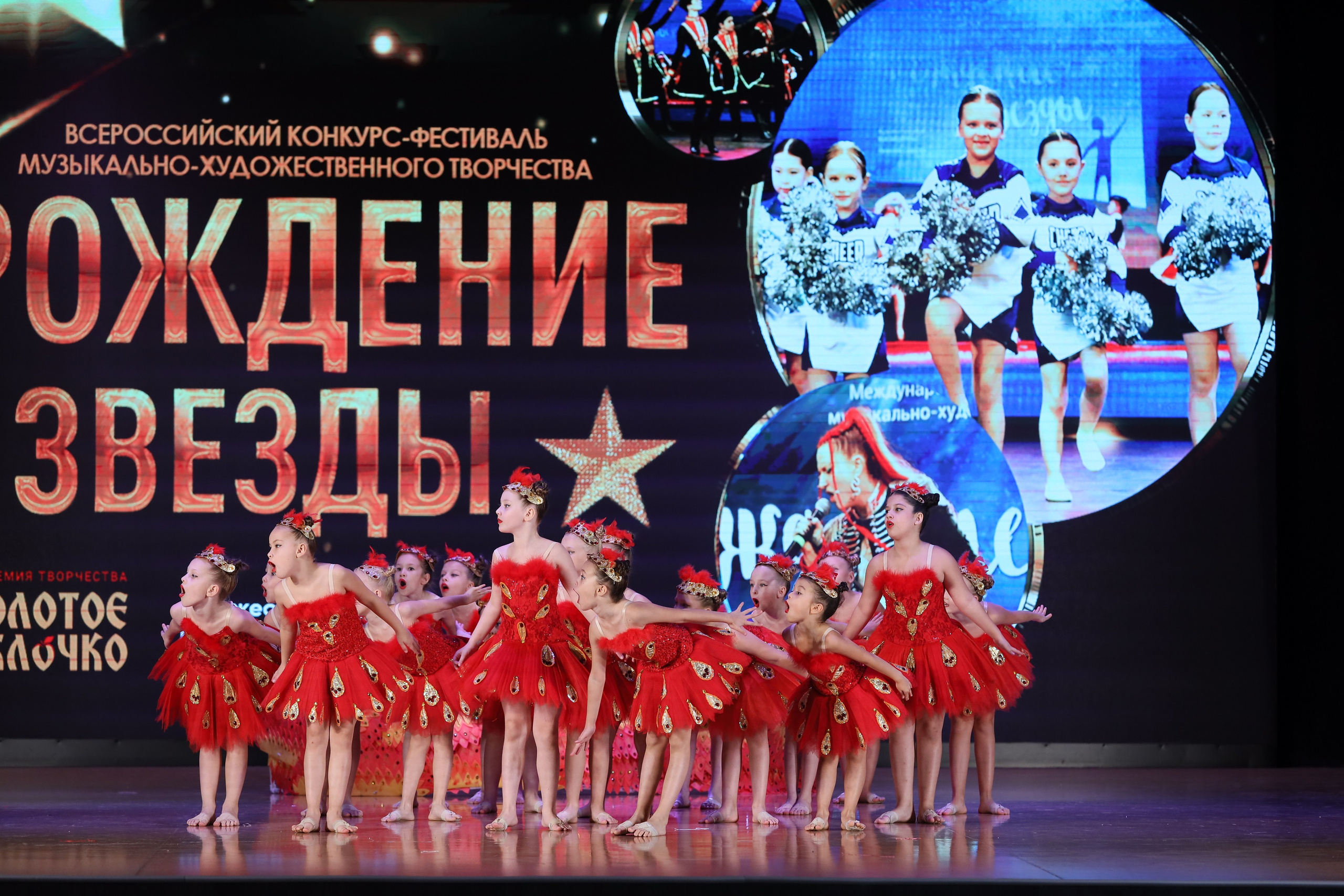 4 ноября, блок 1, видео, номера 14-29, г. Краснодар. Золотое яблочко