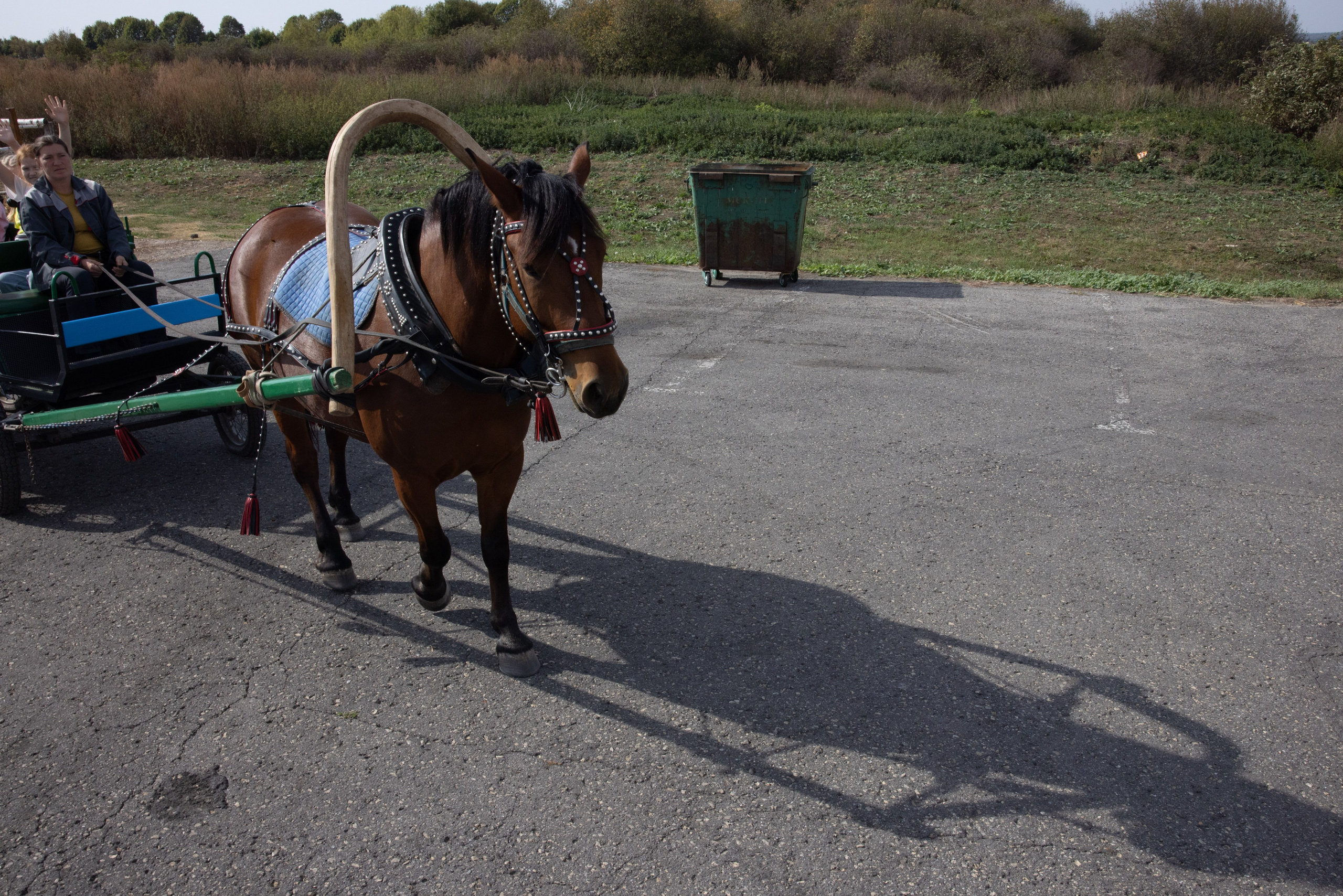 Поездка на поле Кулеково. Фотограф в Туле Крупский АнДРей. Фотостудия «КАДР71» в Туле