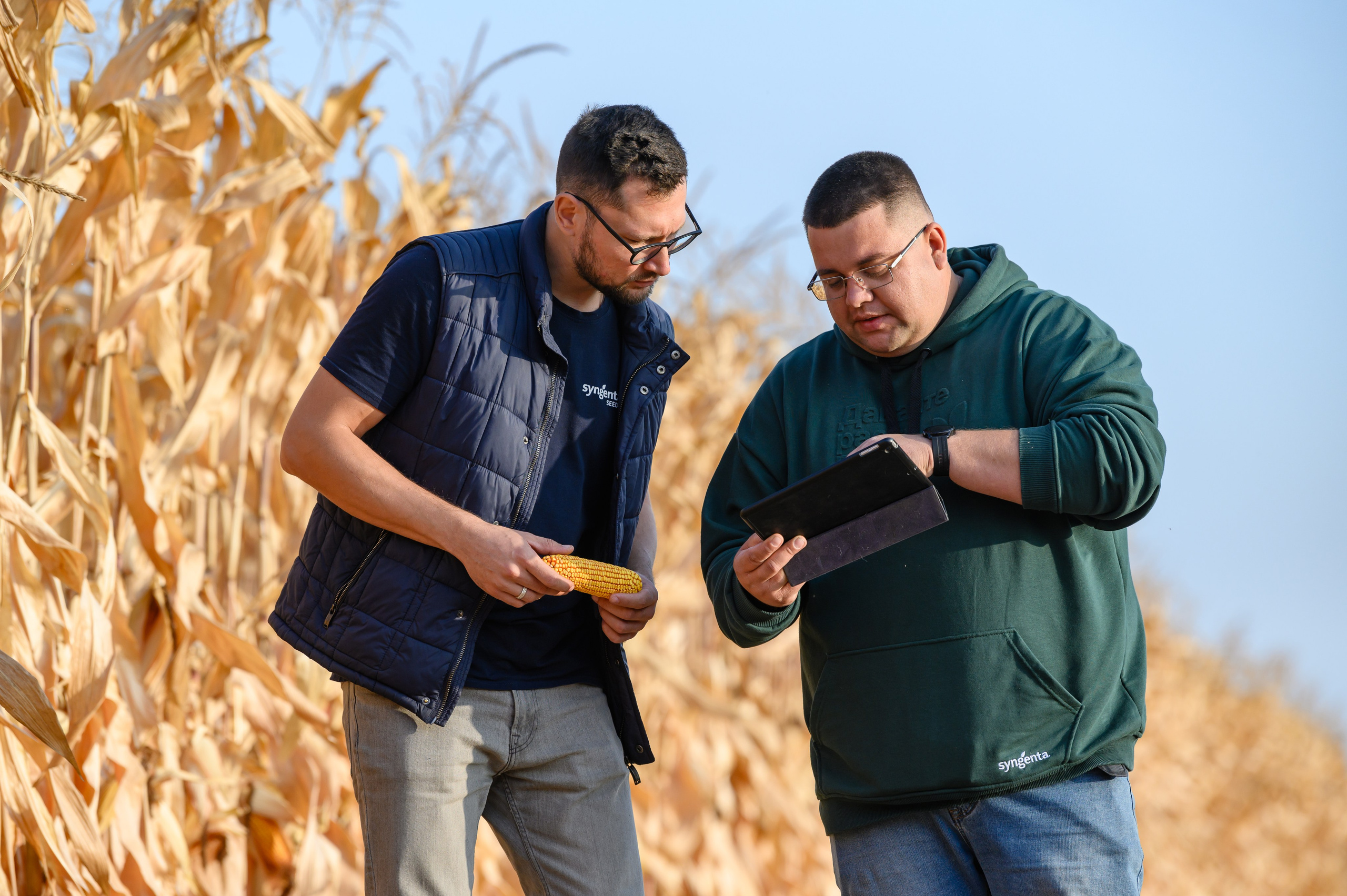 Проекты. Профессиональный фотограф Вячеслав Плацында | Липецк |