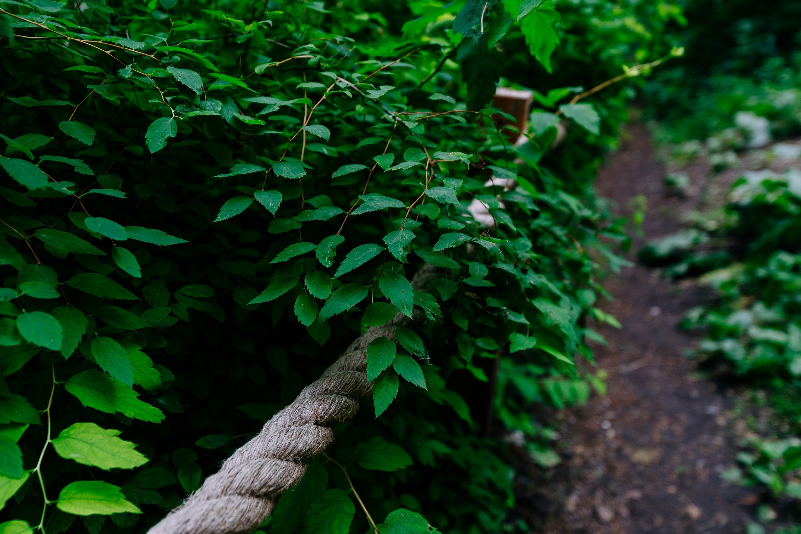 Архитектурный фотограф Санкт-Петербург Москва. Фотограф | оператор | аэросъемка Санкт-Петербург Москва