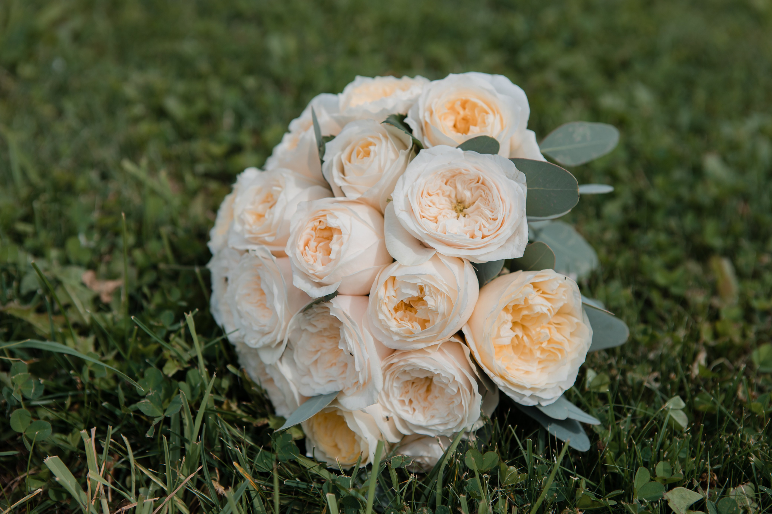 Свадебная фотосессия Сергея и Татьяны. Наша свадебная сказка. Видеосъемка и фотосъемка свадеб. Фотограф и оператор на свадьбу. Видеосъемка подкастов, собственная видео-фотостудии. Предметная фотосъемка