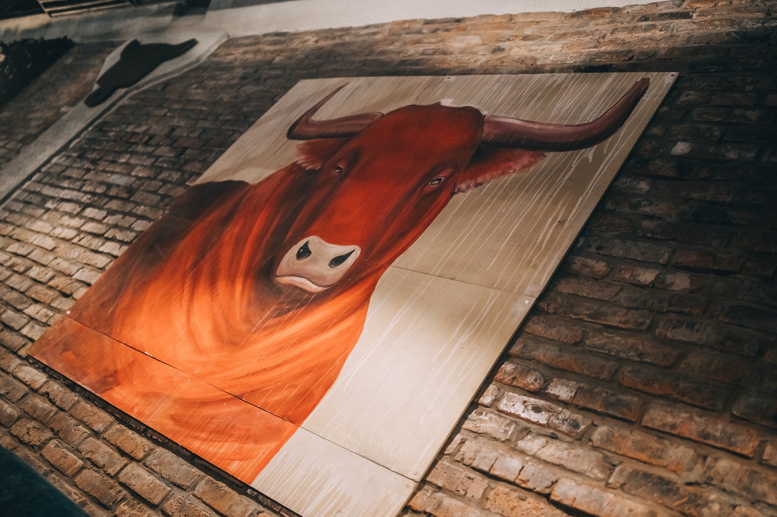 Открытие Жадины Гавядины. Фотограф в Кемерово Владислав Шульц