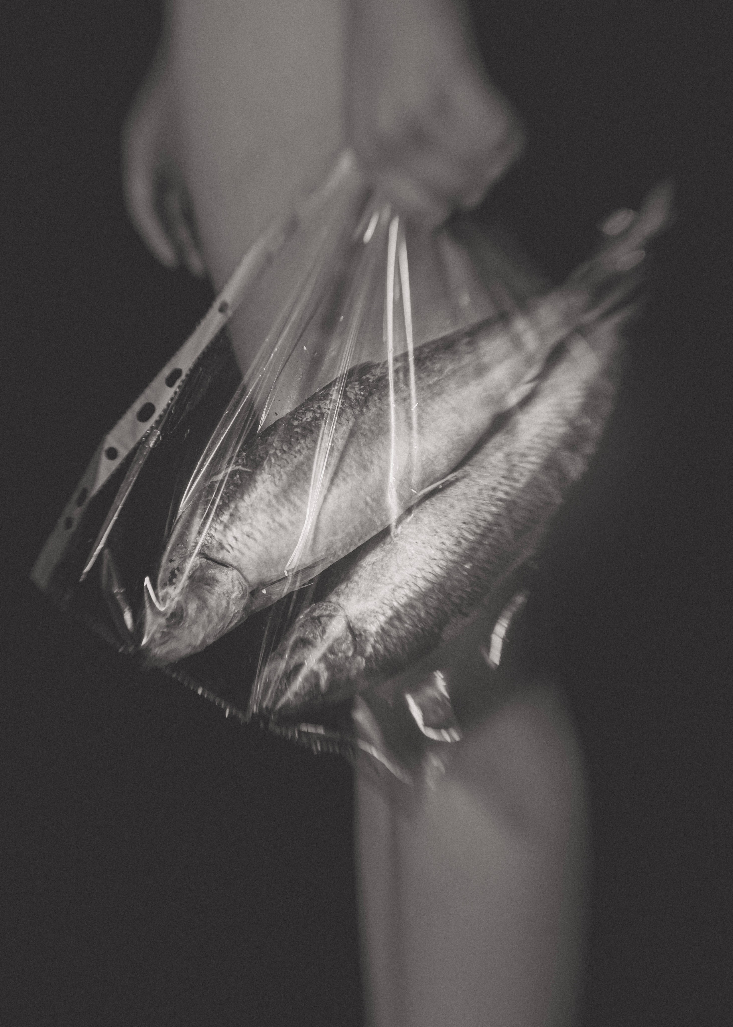 Портфолио. Фотограф в Нефтеюганске