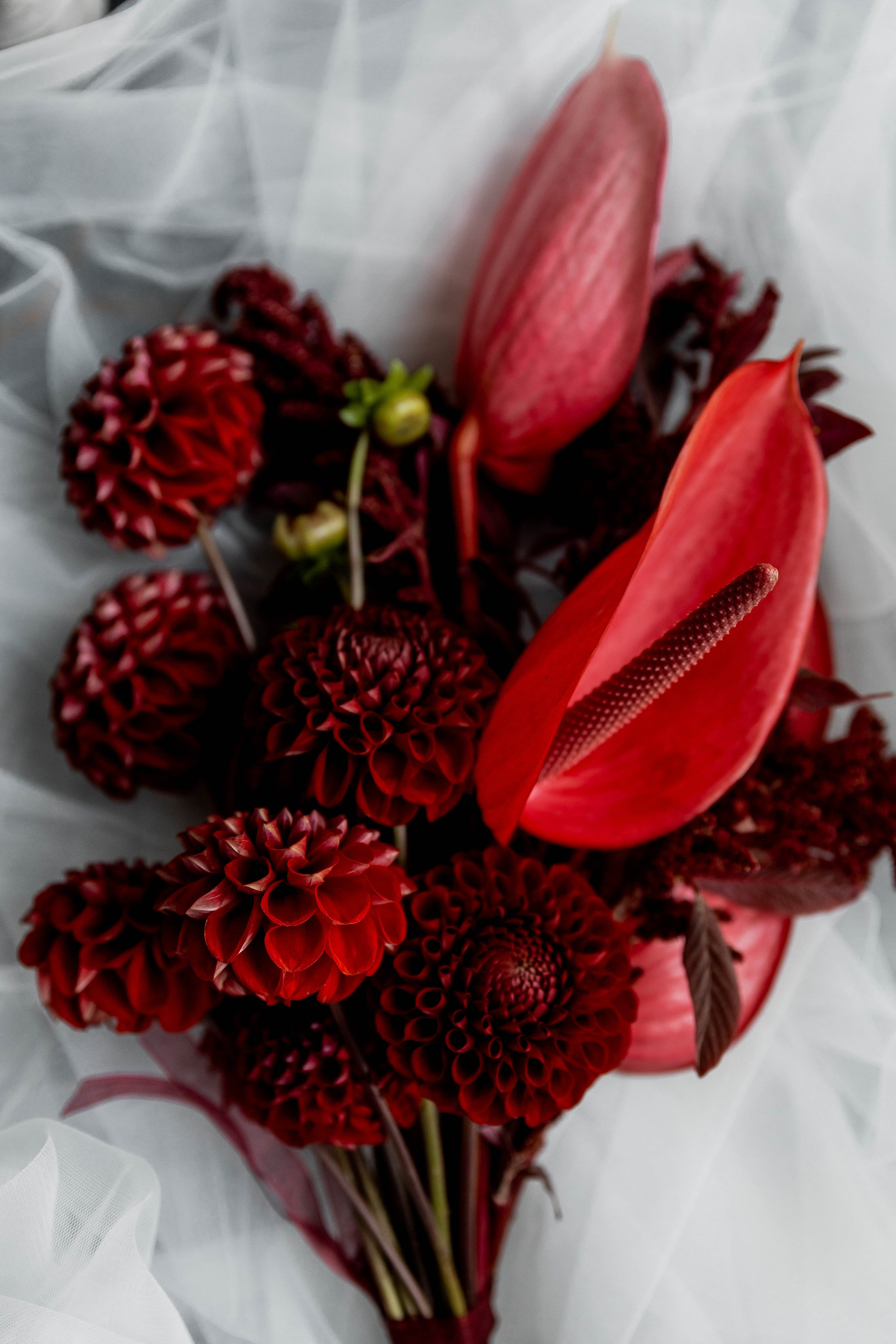 Кристина | Кирилл. Свадебный фотограф Надежда Рыжикова