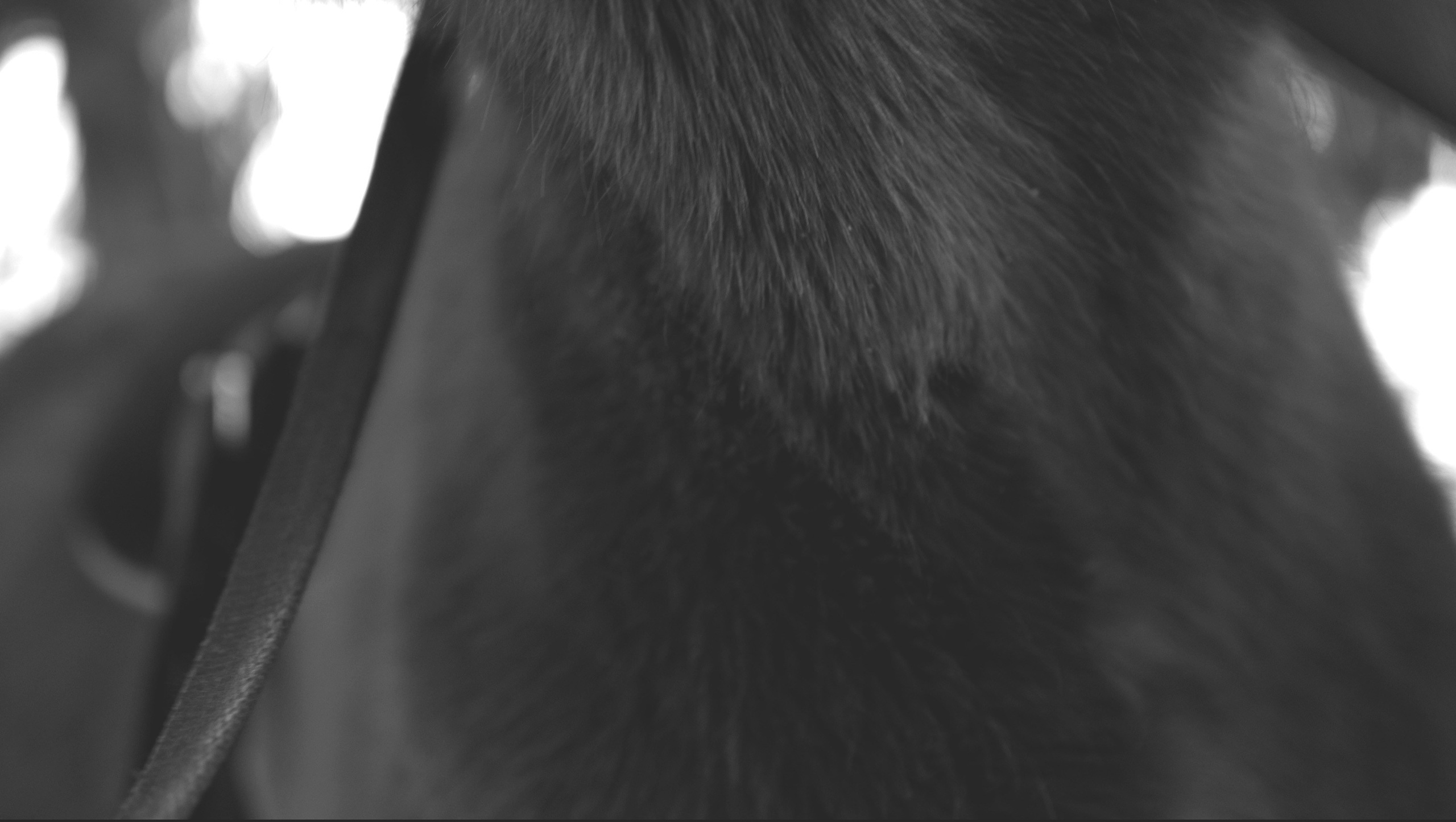 Ничего не было видно и приходилось прислушиваться. Художественная группа «Нежные Бабы»