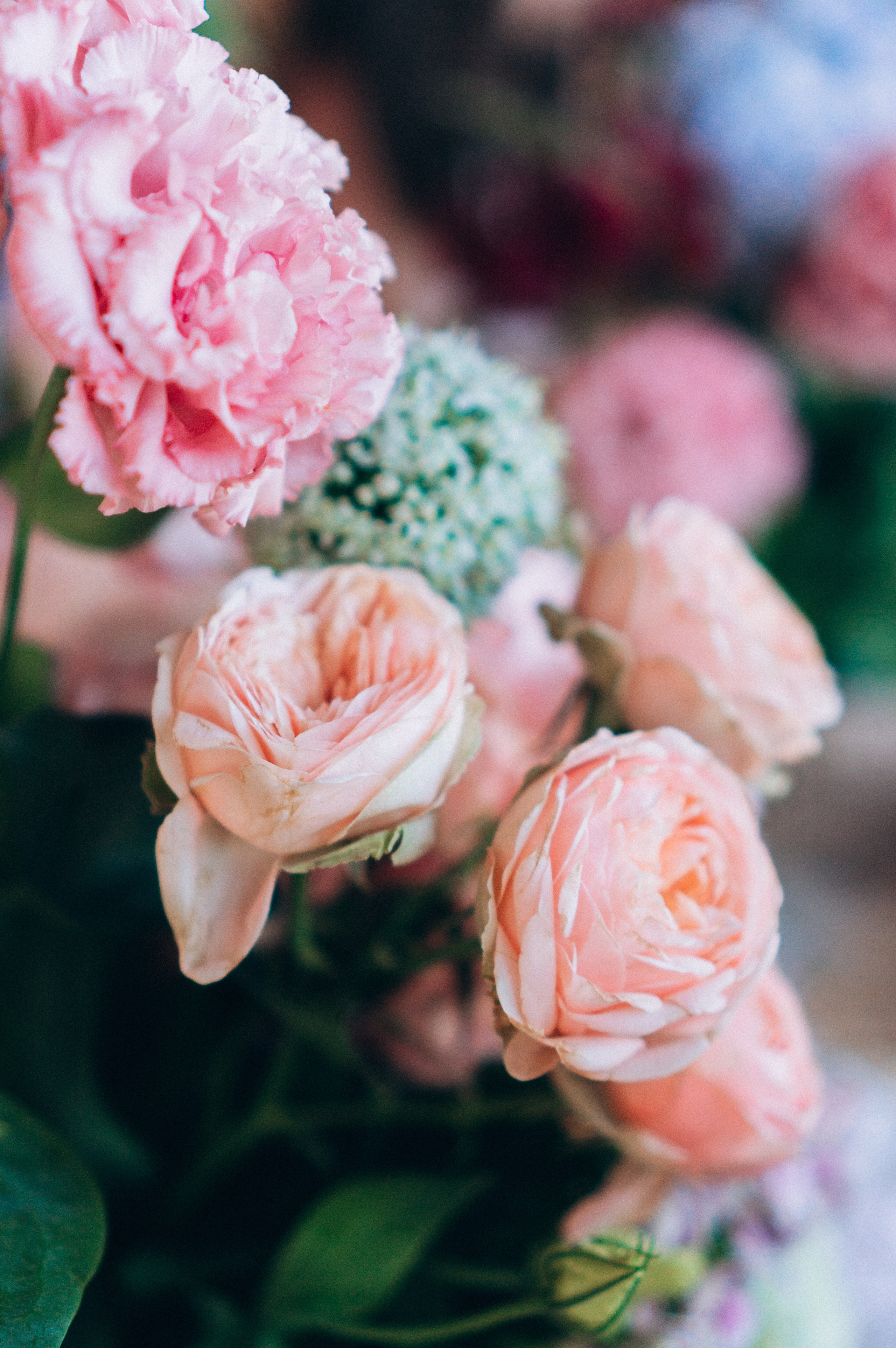 Мастер-класс по флористике. Обо мне