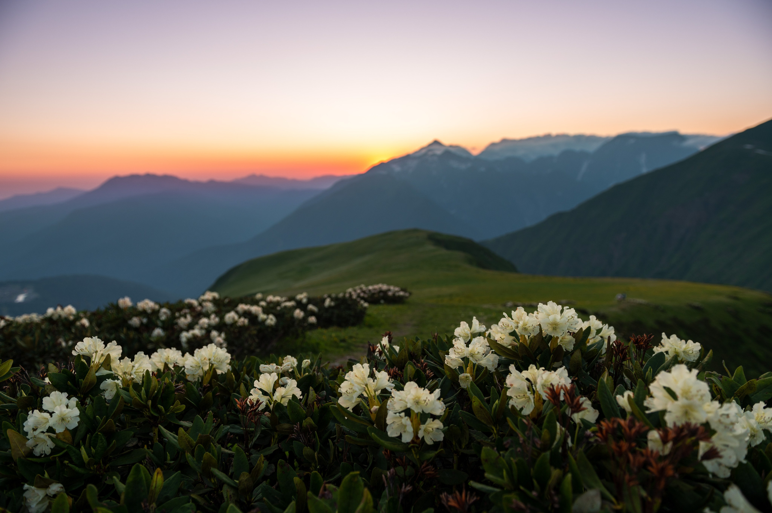 Путешествия и пейзаж. Репортажный фотограф в Красной Поляне и Сочи Павлюченко Екатерина