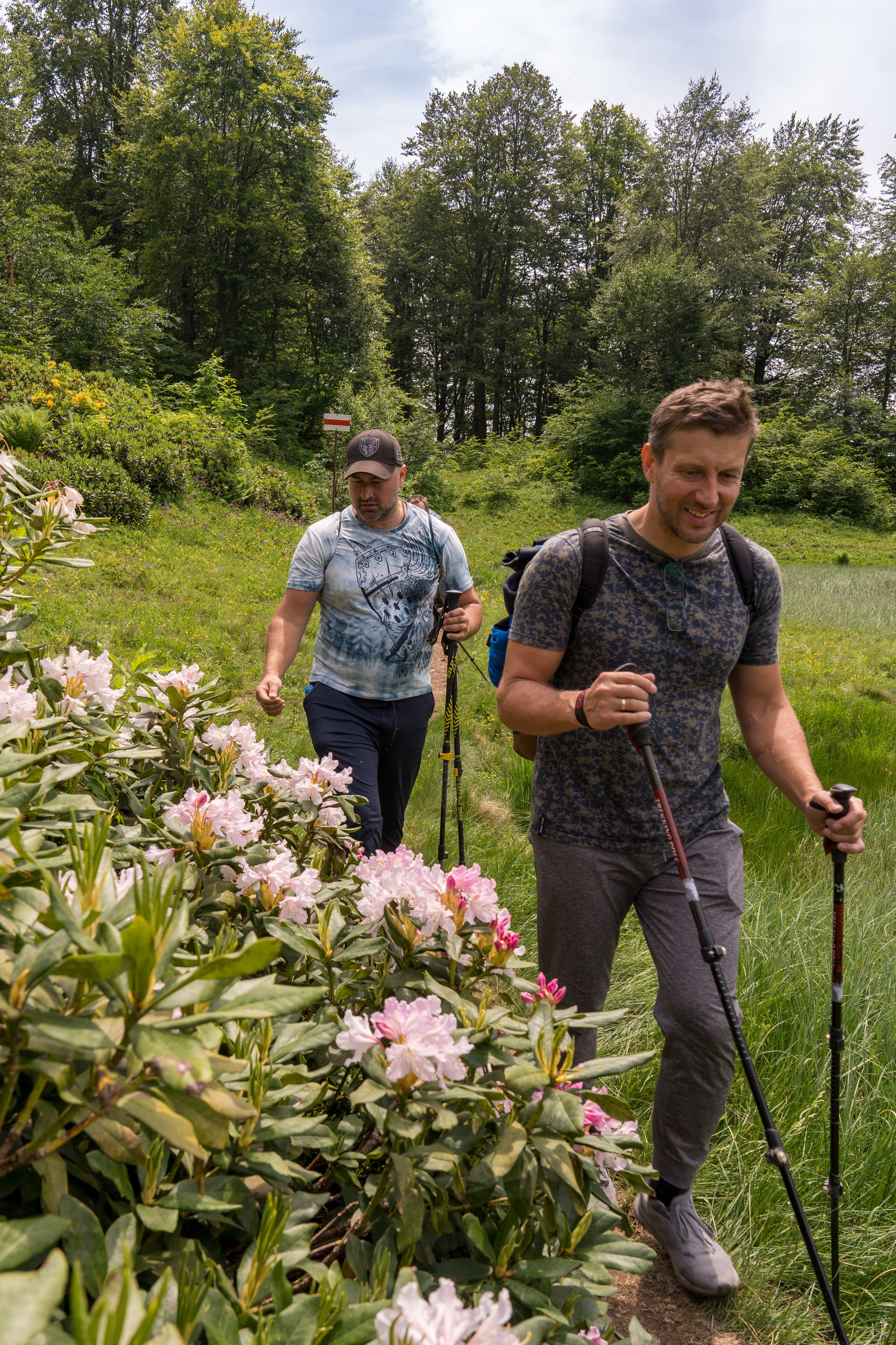 MICE мероприятие для компании «Доставка морем»: хайкинг к Ачипсинским водопадам. Репортажный фотограф в Красной Поляне и Сочи Павлюченко Екатерина