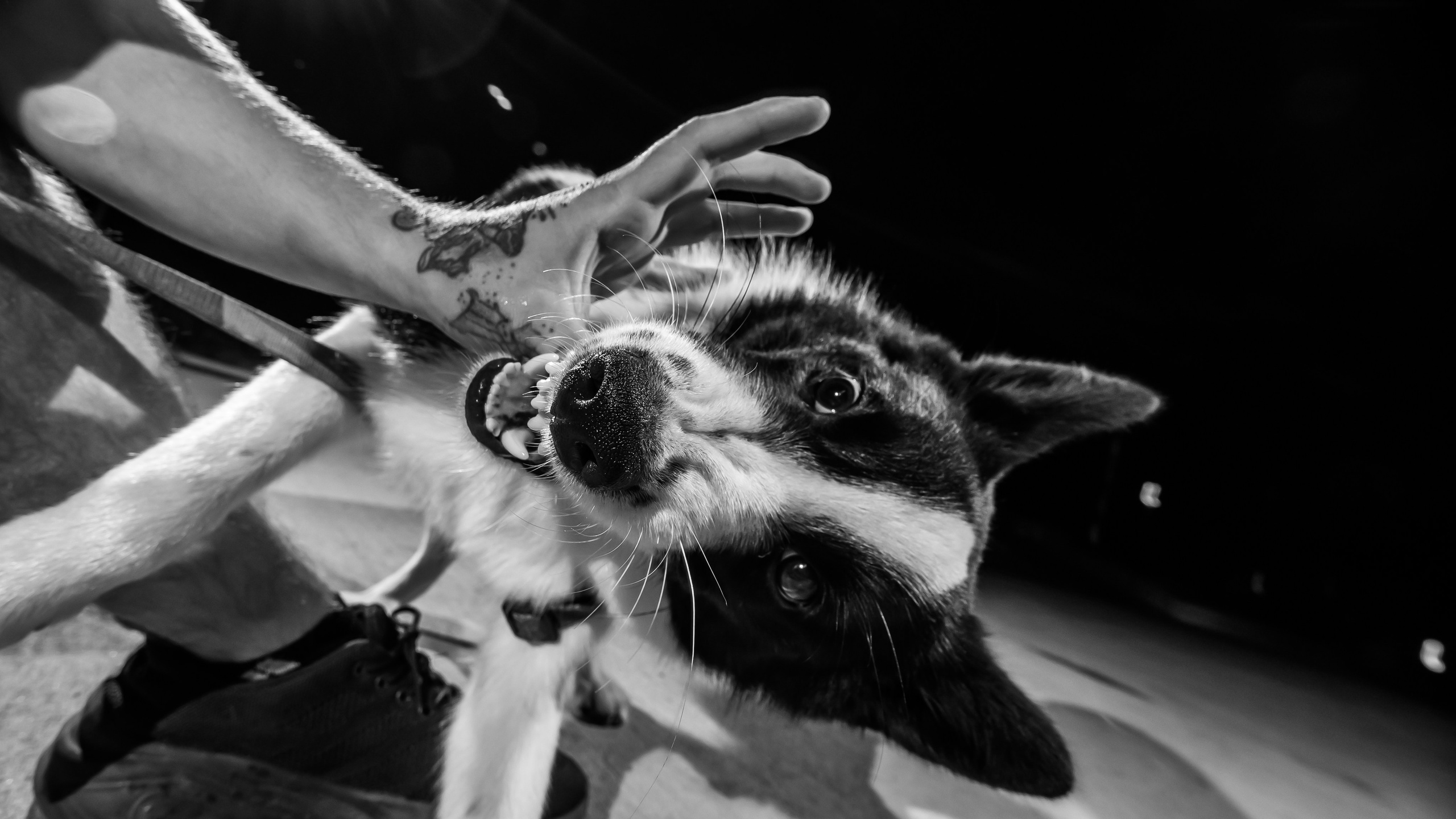 Юра. Фотограф в Благовещенске Андрей Сенченко