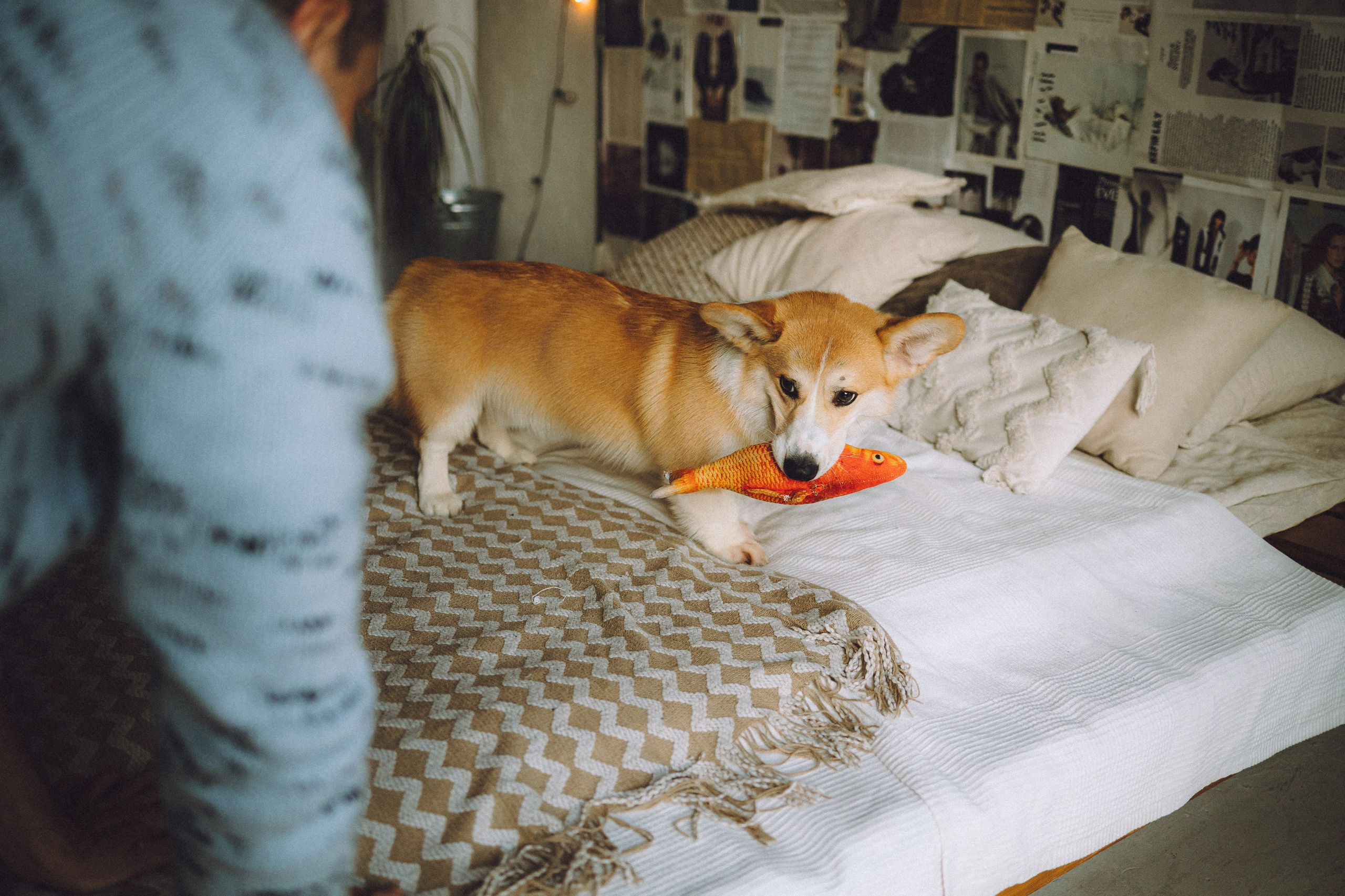 Наталья, Евгений и Мерлин