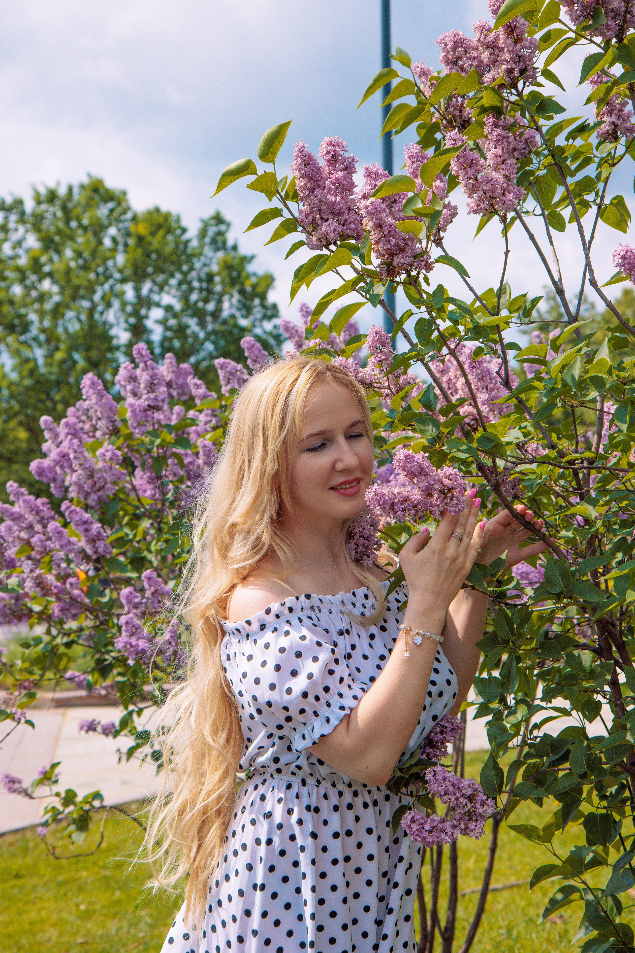 Сиреневые этюды. Фотография Елена