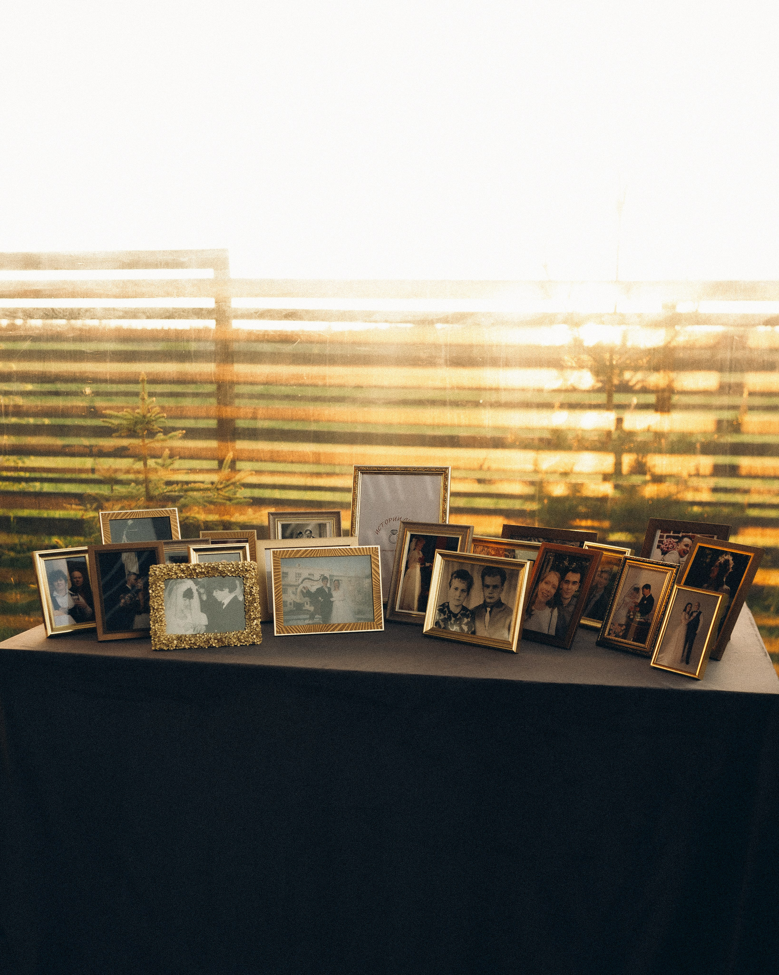 Vinity Forest. Фотограф Анастасия Платонова | Санкт-Петербург