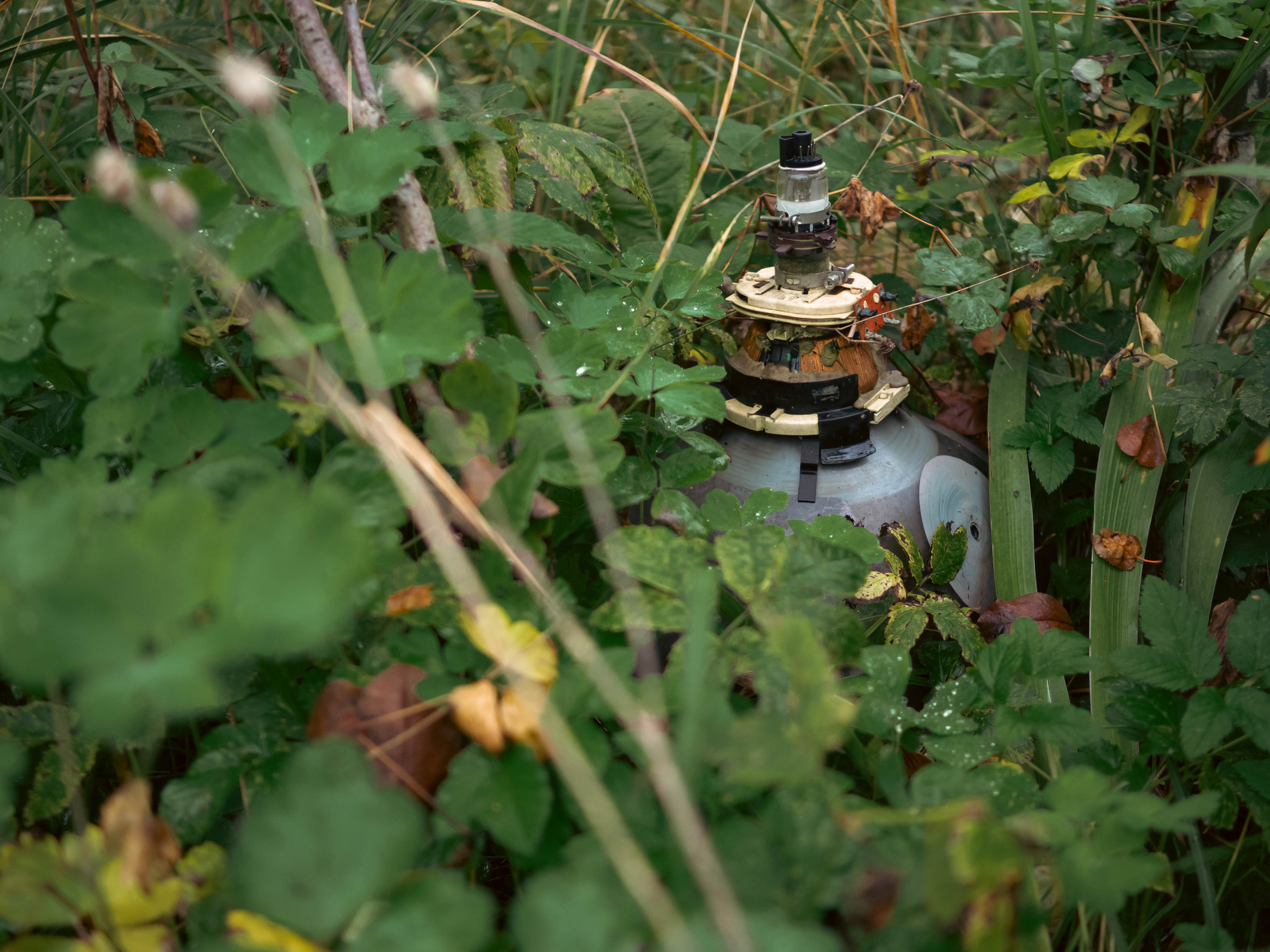 20230916 Дача. Дмитрий Ремизов. Фотография, как хобби