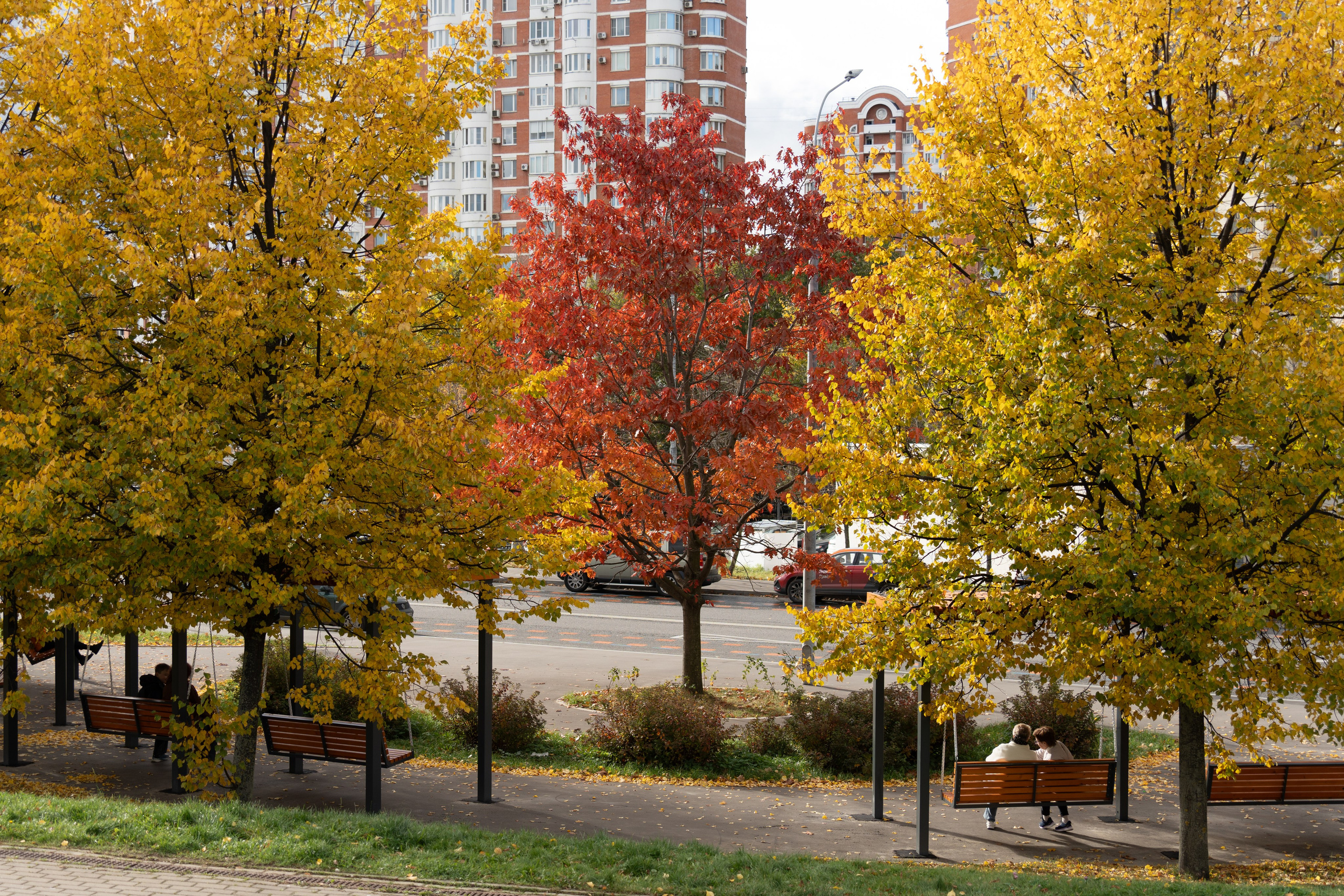 20251012 МГУ. Дмитрий Ремизов. Фотография, как хобби