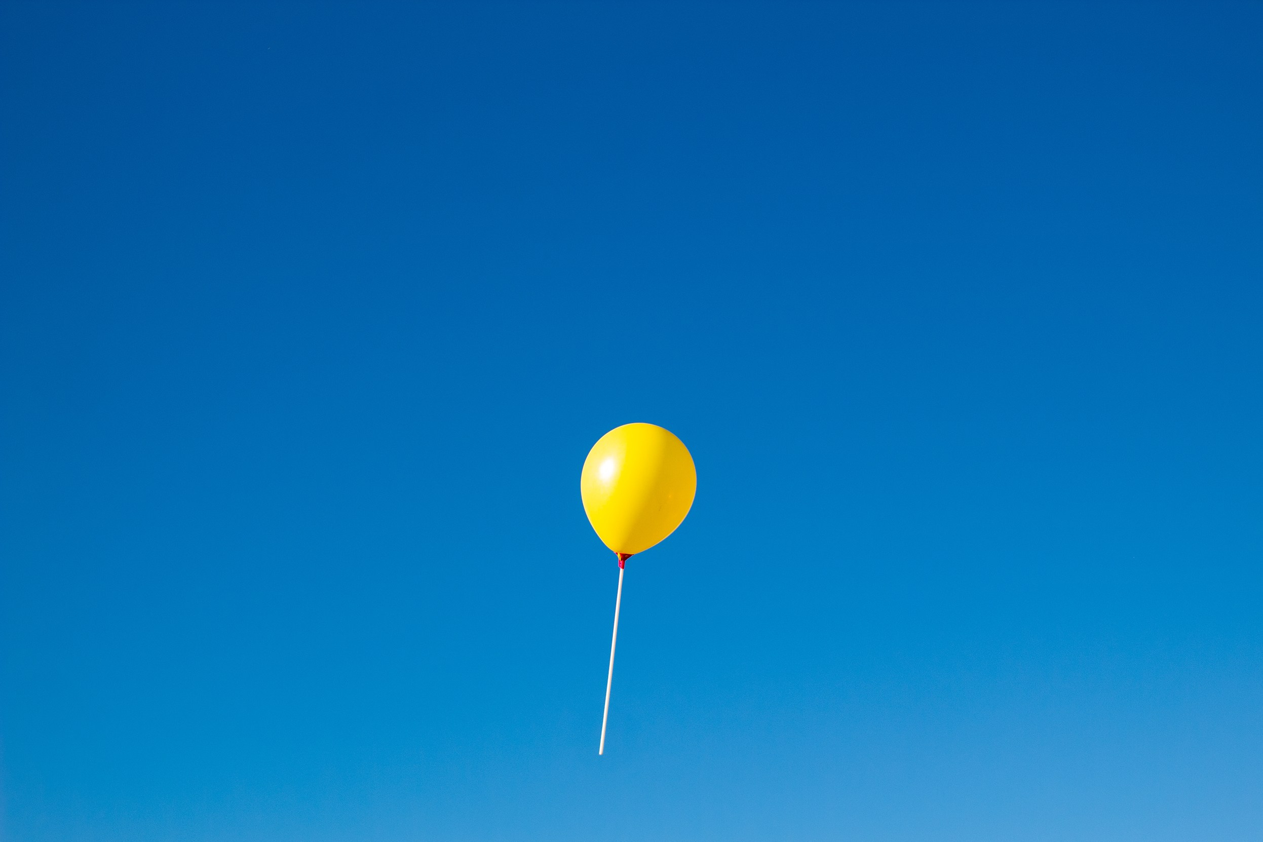 Агата. Прогулка. Фотограф Дарина Фельдман