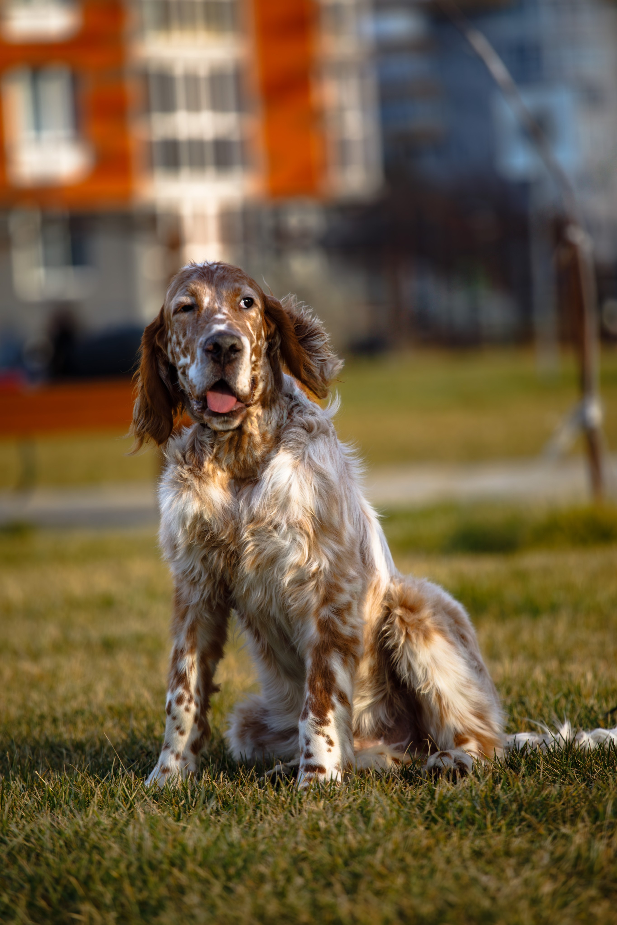 Андрей и Милан. Фотограф Екатерина Козловская