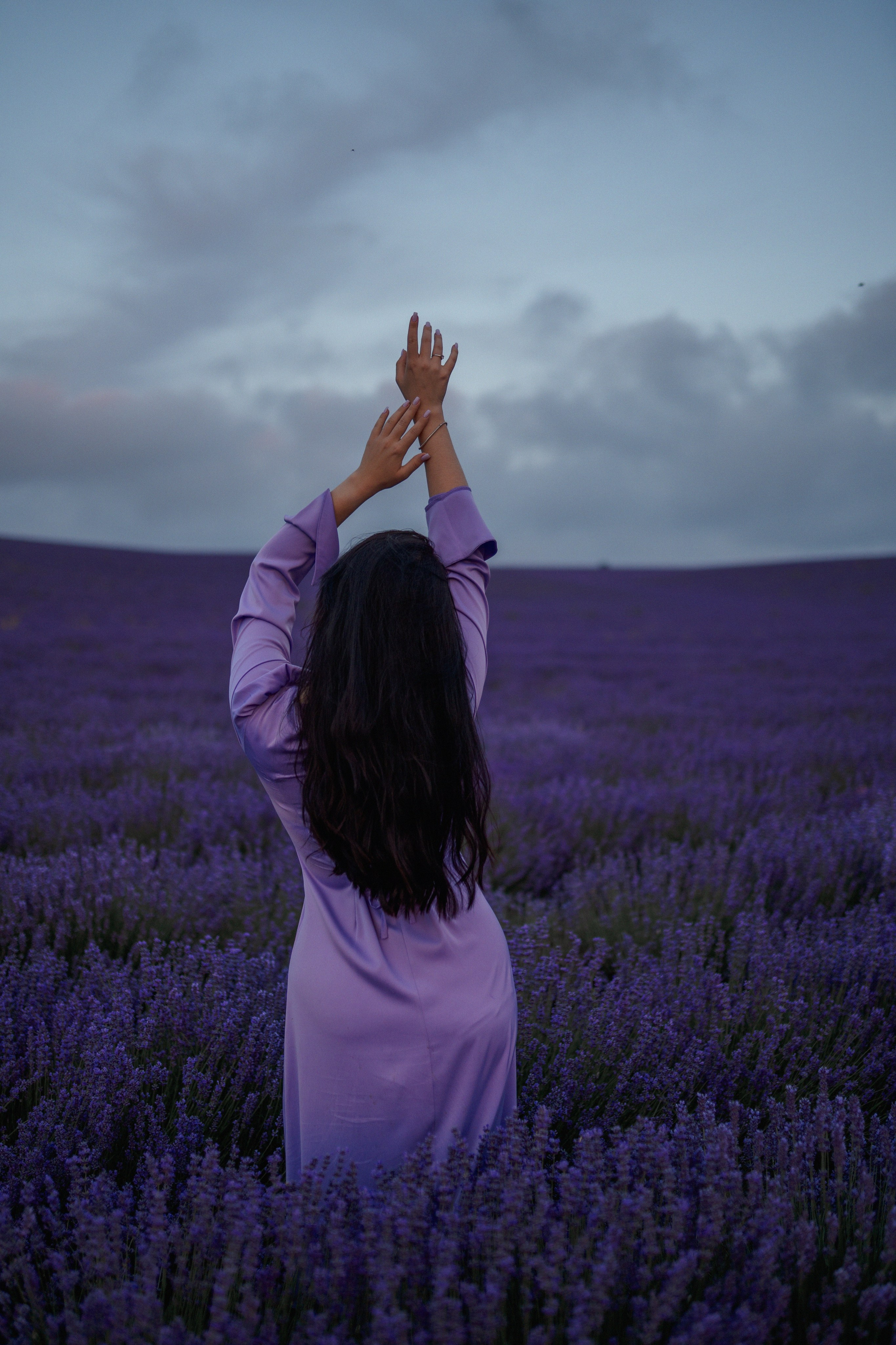 Александра лаванда. Главная