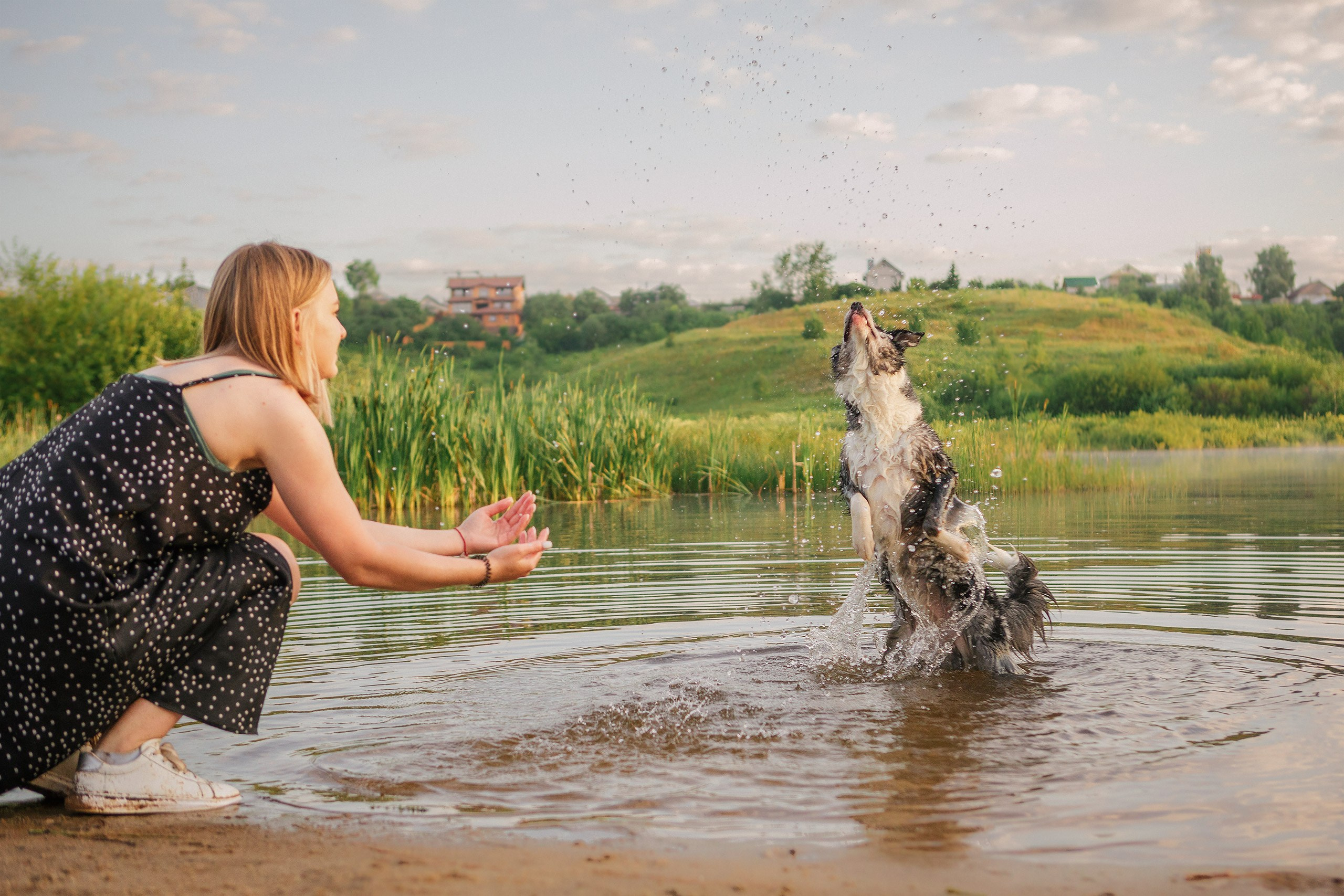 Таня и команда на рассвете. Фотограф анималист Кузнецова Анна Нижний Новгород