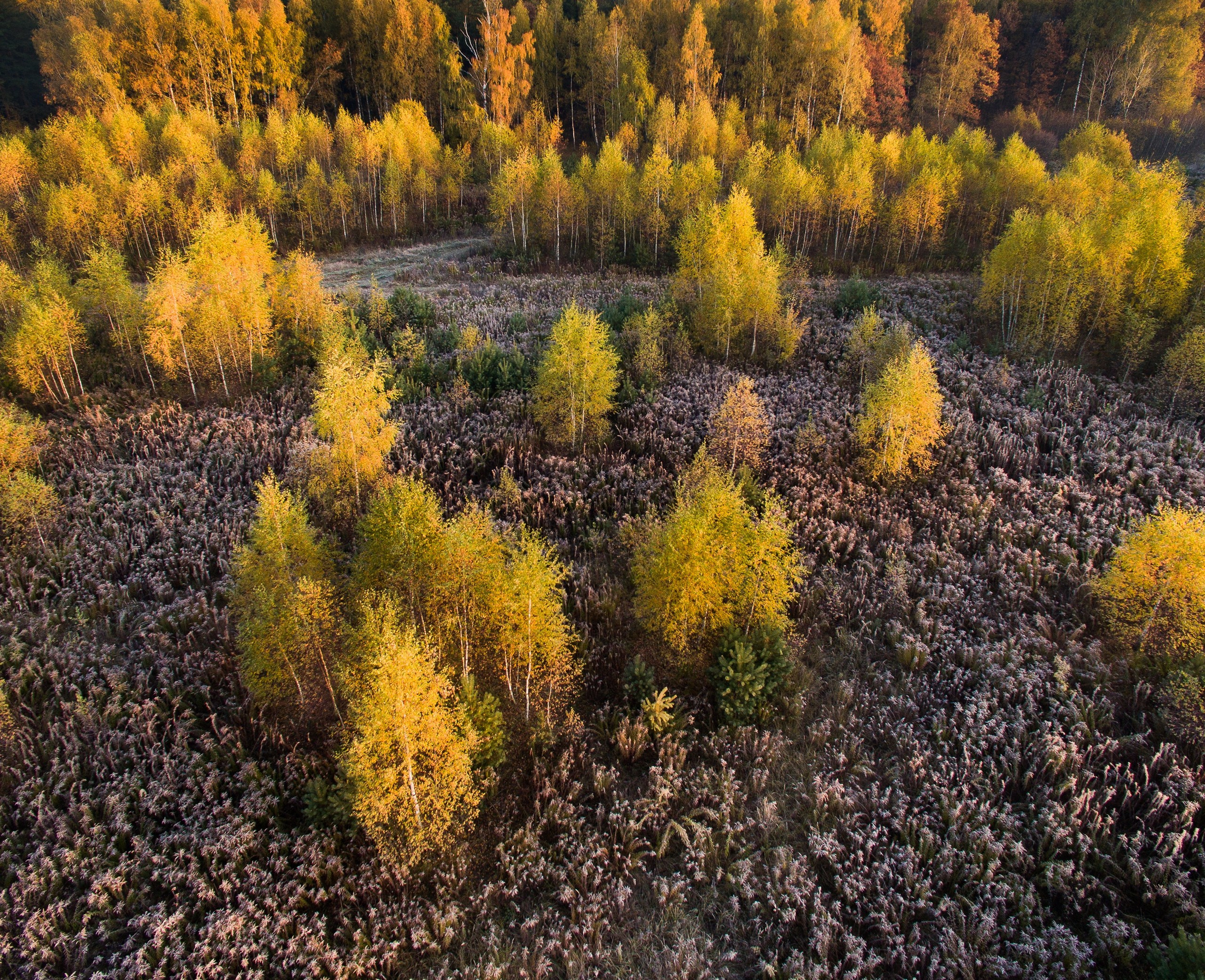Средняя полоса России. Фотограф Владимир Медведев