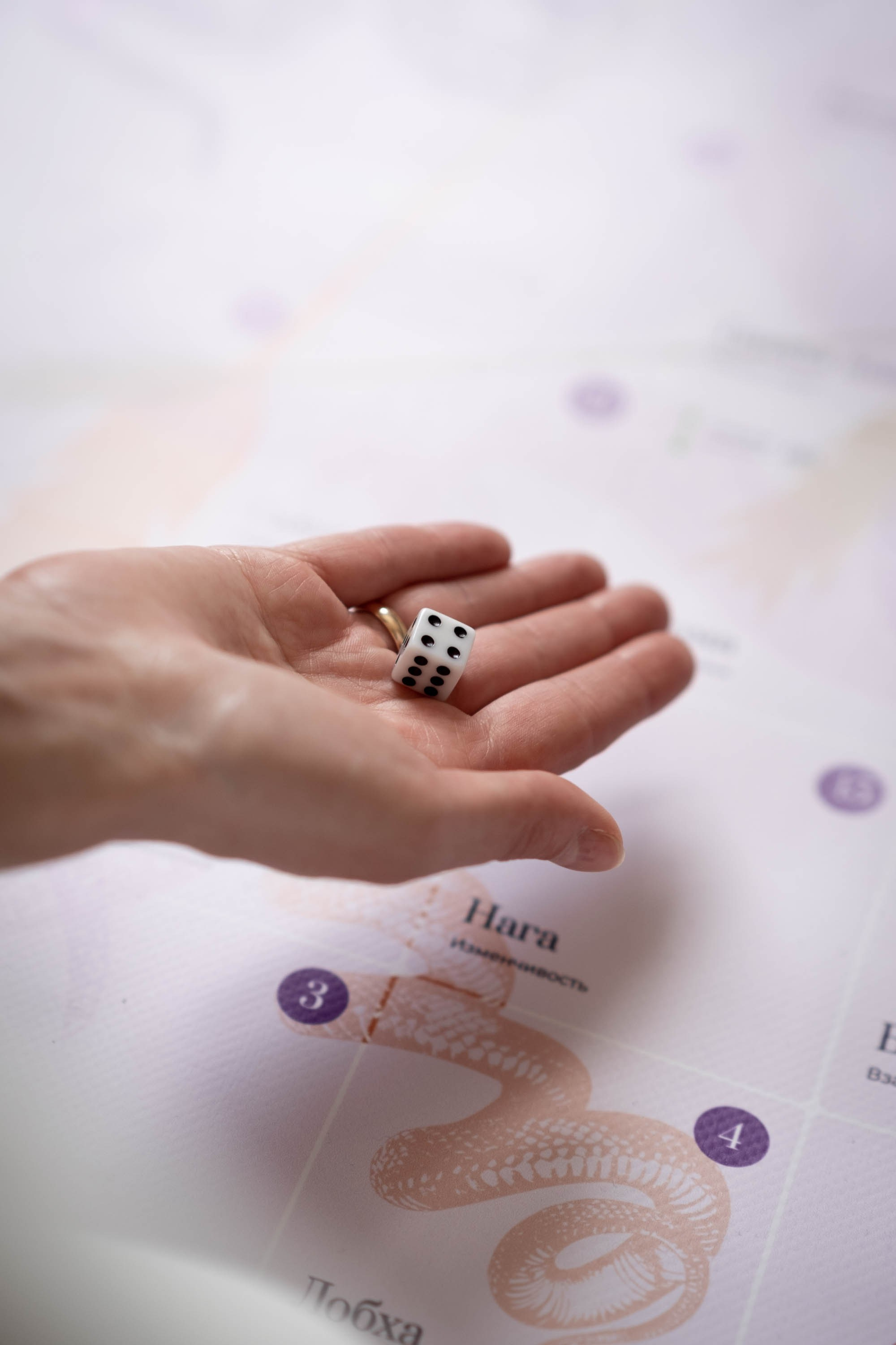 Семейная студия «Синергия». Свадебный и семейный фотограф в Тюмени Екатерина Дубровина