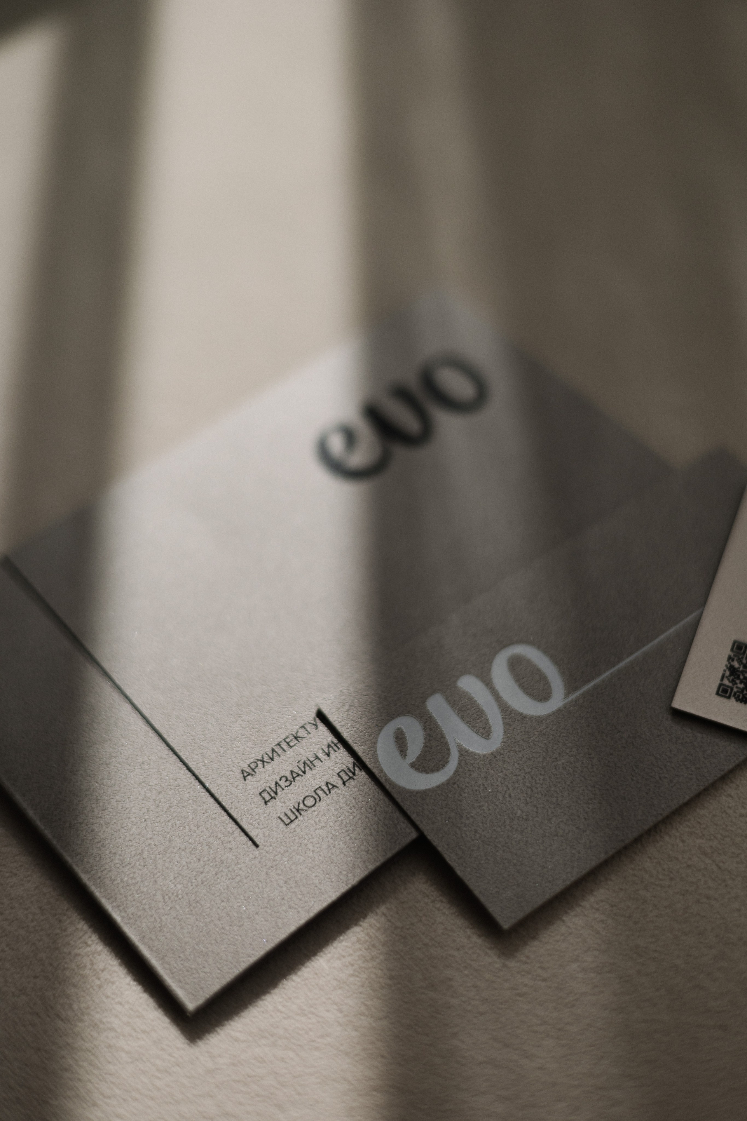 EVO. Бренд-дизайнер Карина Цыганкова, Санкт-Петербург