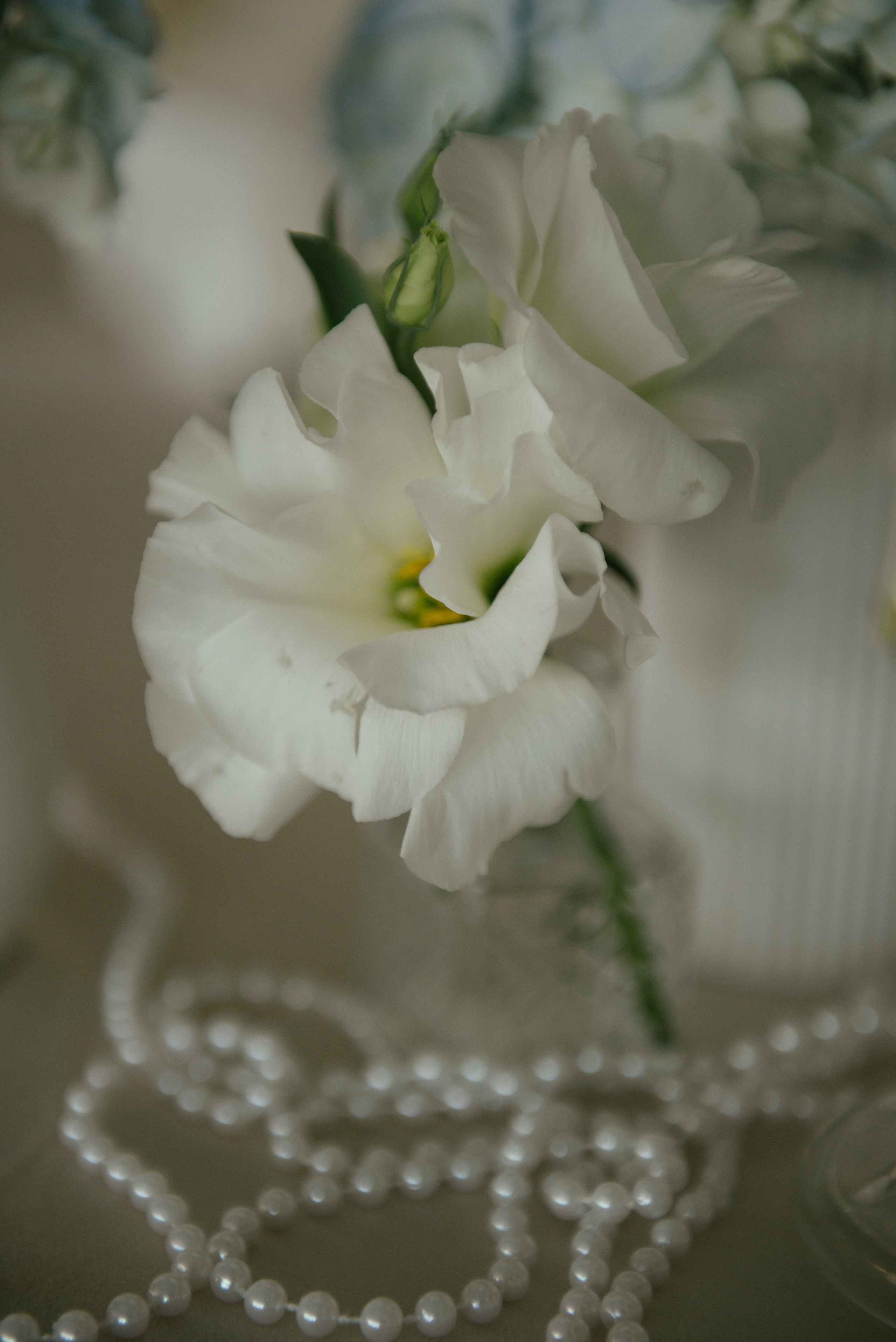 Влад и Лиза (г.Севастополь). Свадебный, женский, семейный фотограф в Севастополе Юлия Мошенко